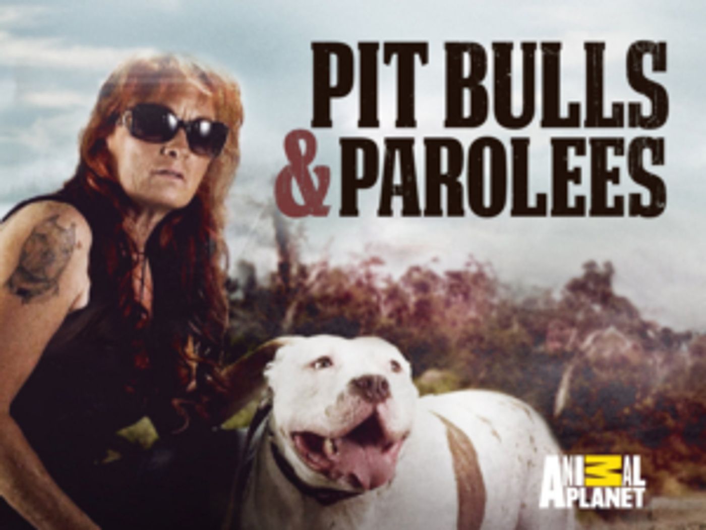PIT BULLS & PAROLEES Returns to Animal Planet This October  Image