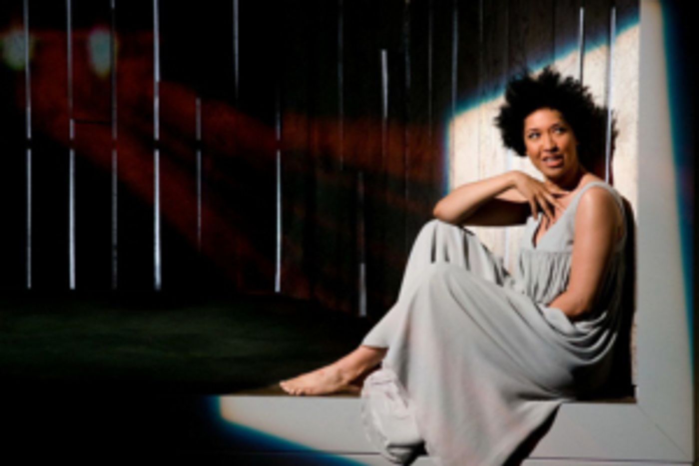 Metropolitan Opera To Present FIRE SHUT UP IN MY BONES, Its First Opera by a Black Composer Metropolitan Opera To Present FIRE SHUT UP IN MY BONES, Its First Opera by a Black Composer Image