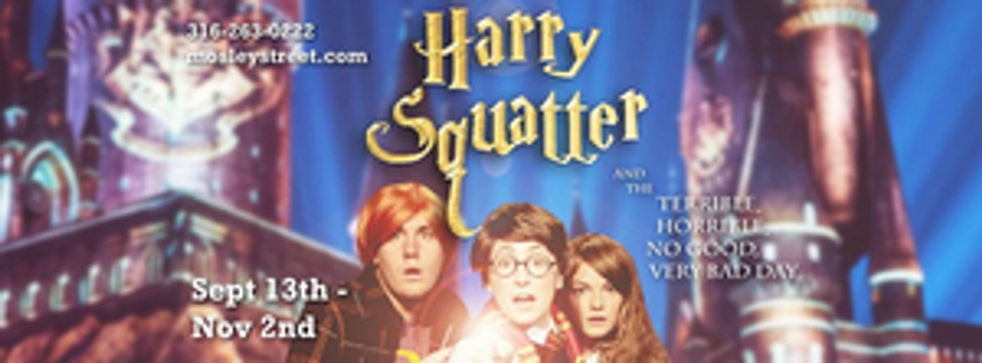 Review: HARRY SQUATTER AND THE TERRIBLE, HORRIBLE, NO GOOD, VERY BAD DAY at Mosley Street Melodrama, Puns and Play on Words  Image