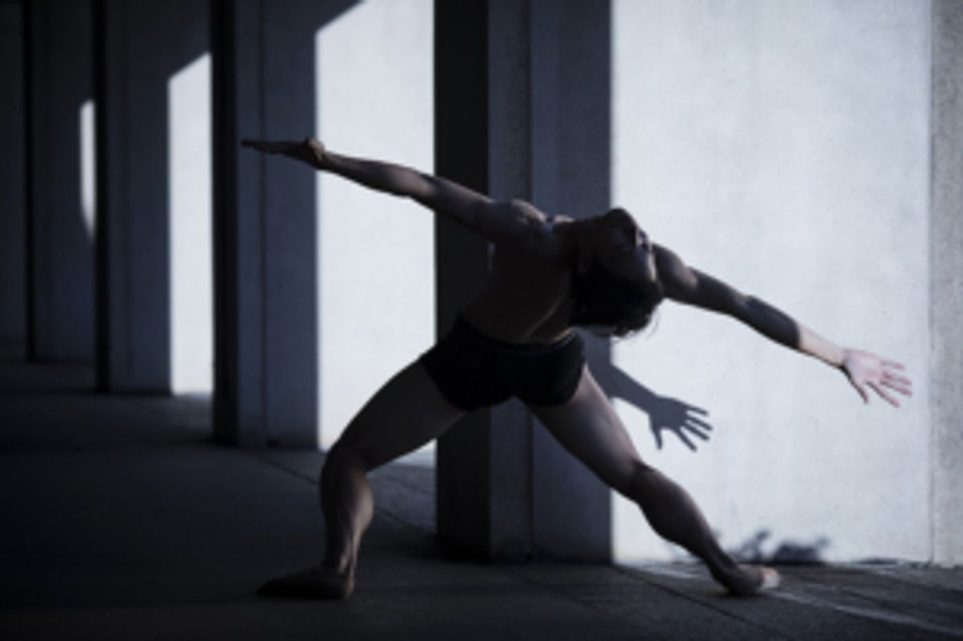 CreativAction To Support Canadian Choreographers And Dance Community  Image