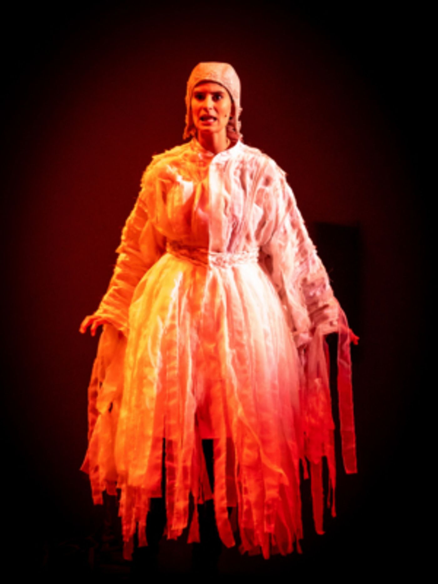 Gulfshore Playhouse and the Naples Philharmonic perform Shakespeare for the entire 11th Grade of Collier County  Image