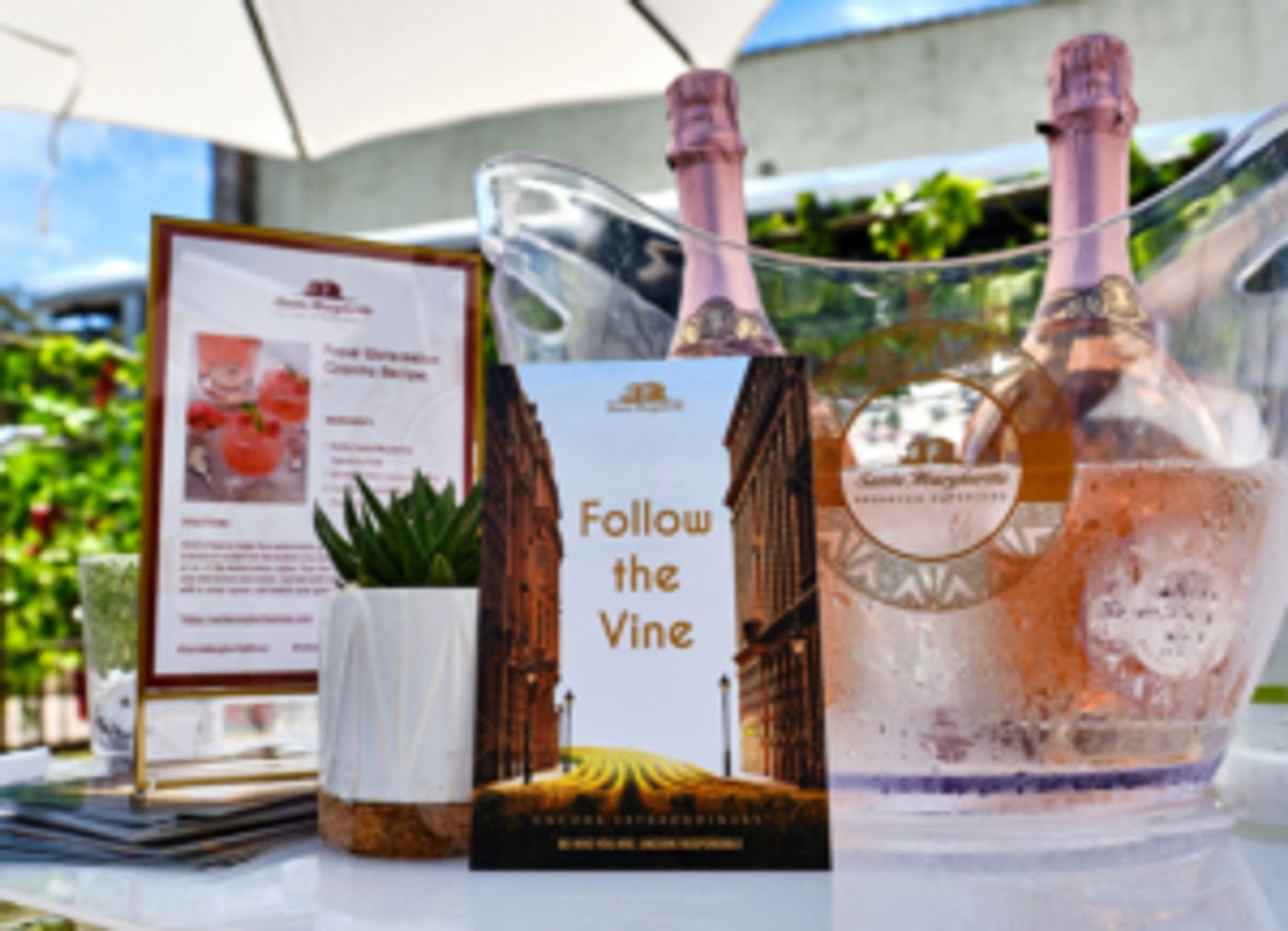 FOLLOW THE VINE Comes to Grand Central Station FOLLOW THE VINE Comes to Grand Central Station Image