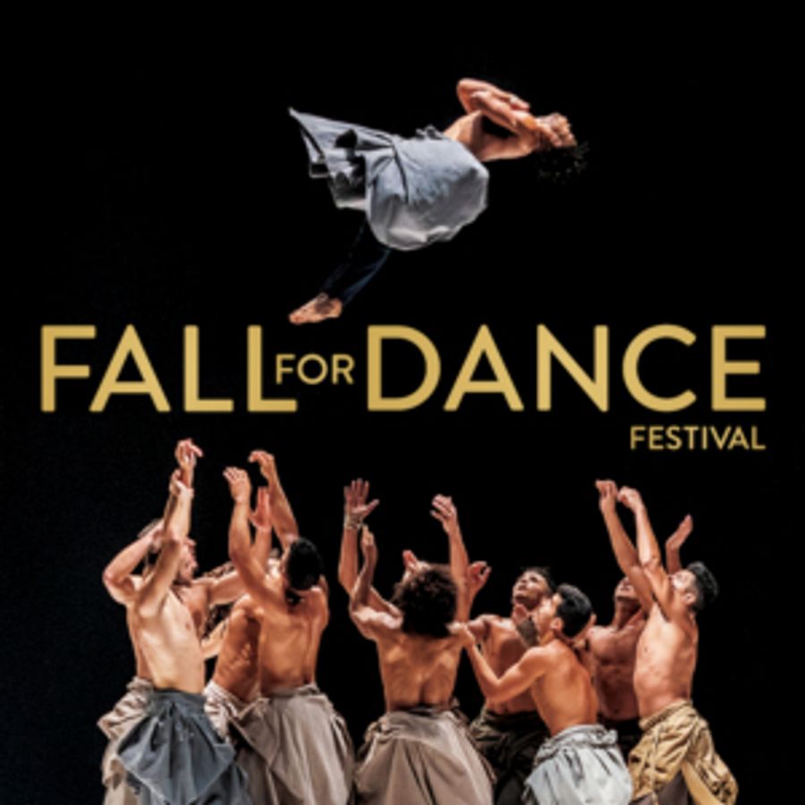 Review: Dance Fail at Fall For Dance Image