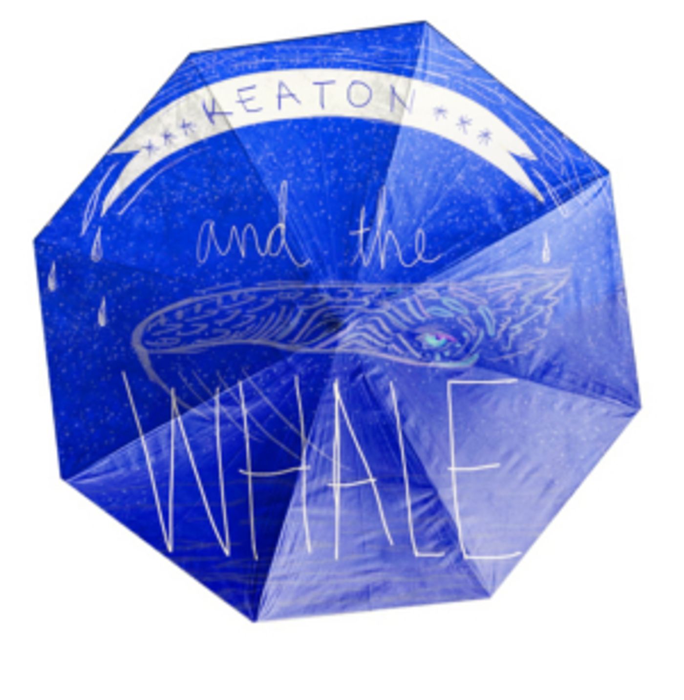 Amas Musical Theatre Will Present KEATON AND THE WHALE  Image