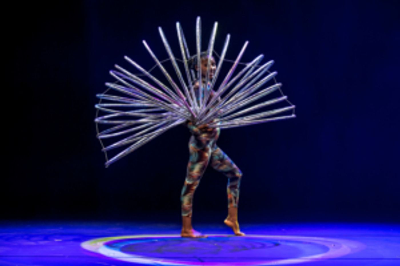 Review: CTC's CIRCUS ABYSSINiA Captures Audiences Dreams  Image