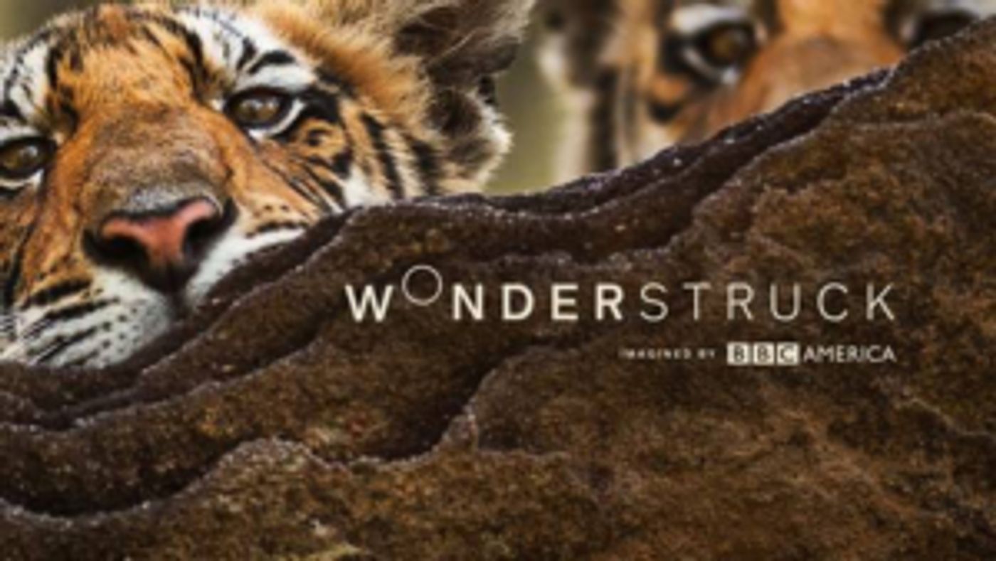BBC America Announces the Launch of Micro-Net WONDERSTRUCK  Image
