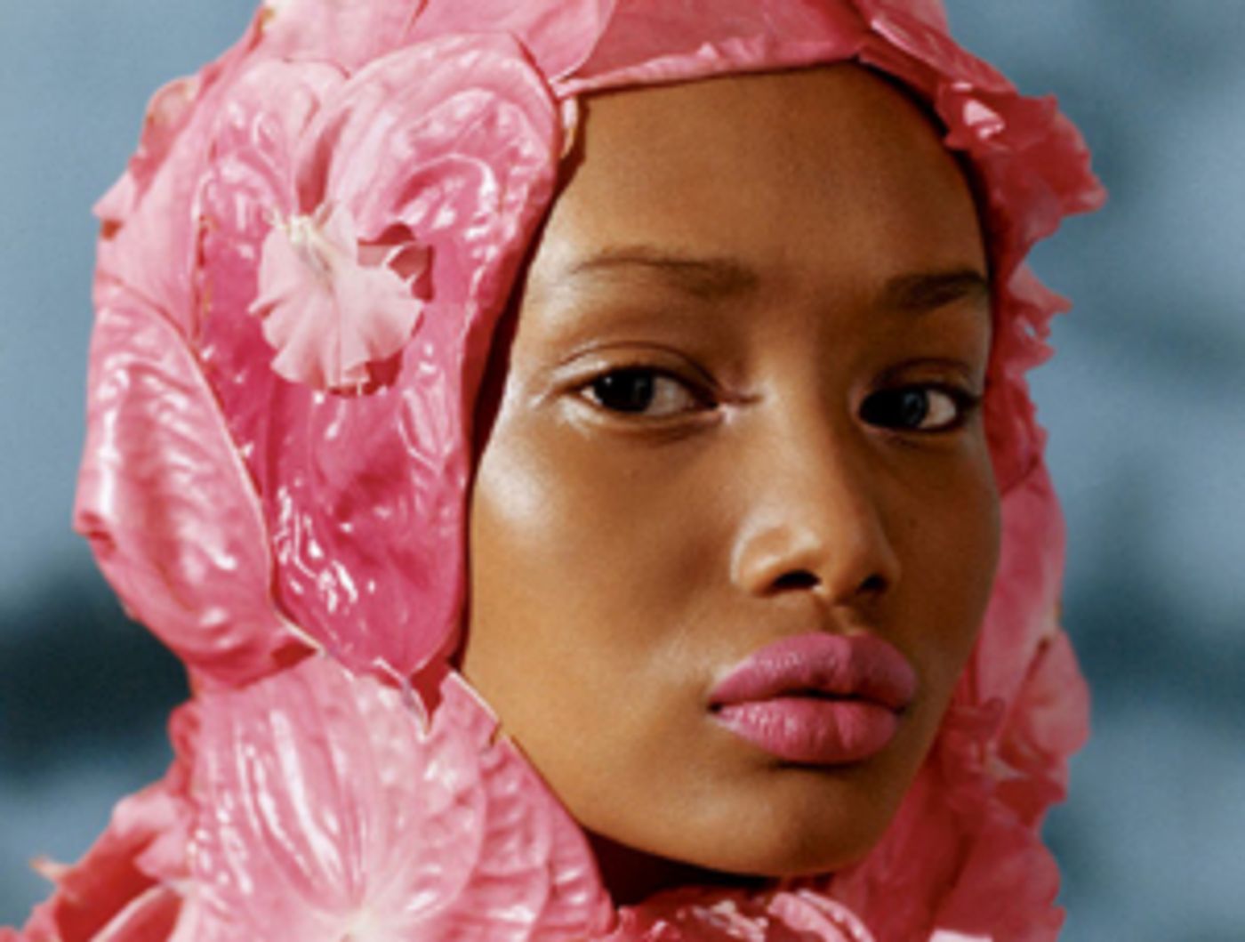 BAM and Aperture Present Moderated Discussion The New Black Vanguard BAM and Aperture Present Moderated Discussion The New Black Vanguard Image