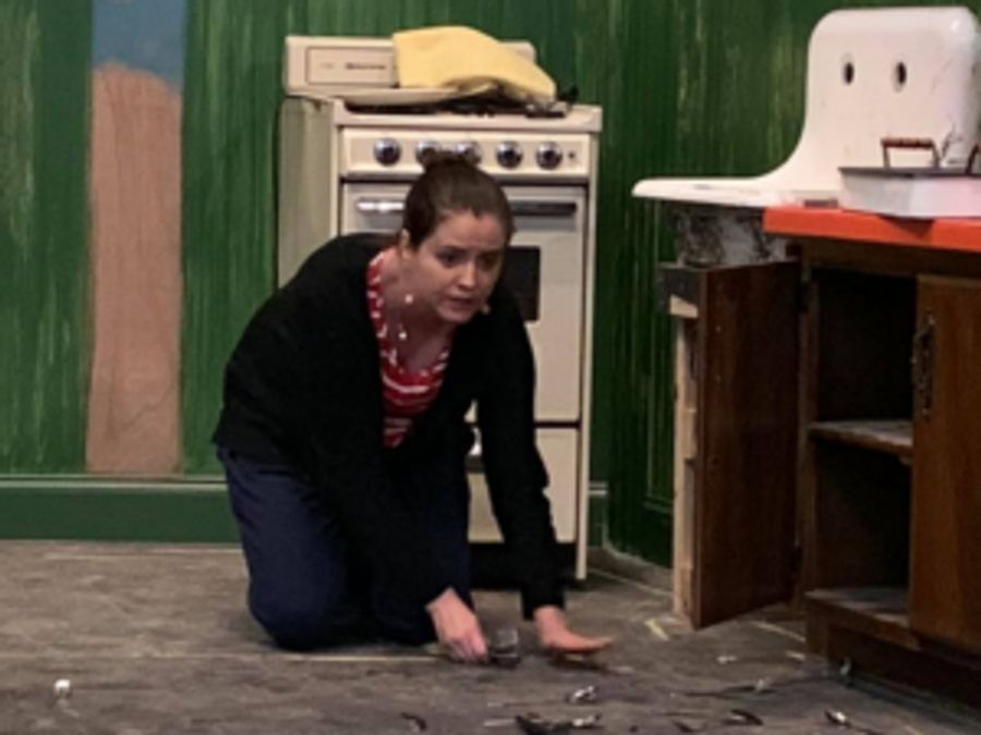 Review: Betty-Jane Parks Gives One of the Year's Best Performances in Stageworks' Intense Production of WAIT UNTIL DARK Image