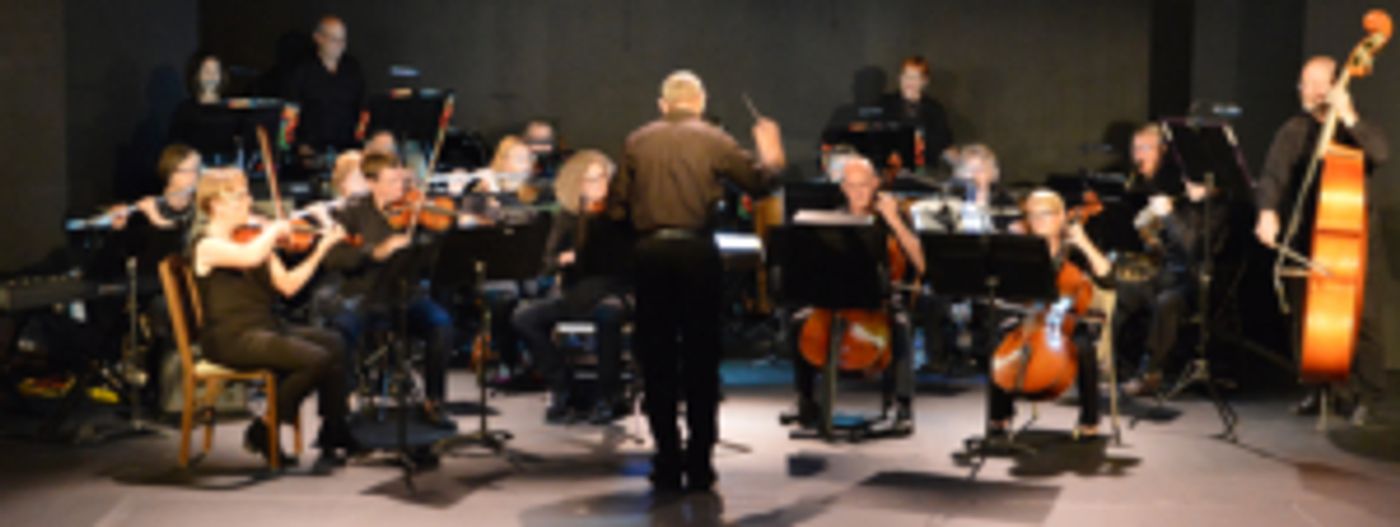 Heart of Texas Orchestra to Perform at the Hill Country Community Theatre  Image
