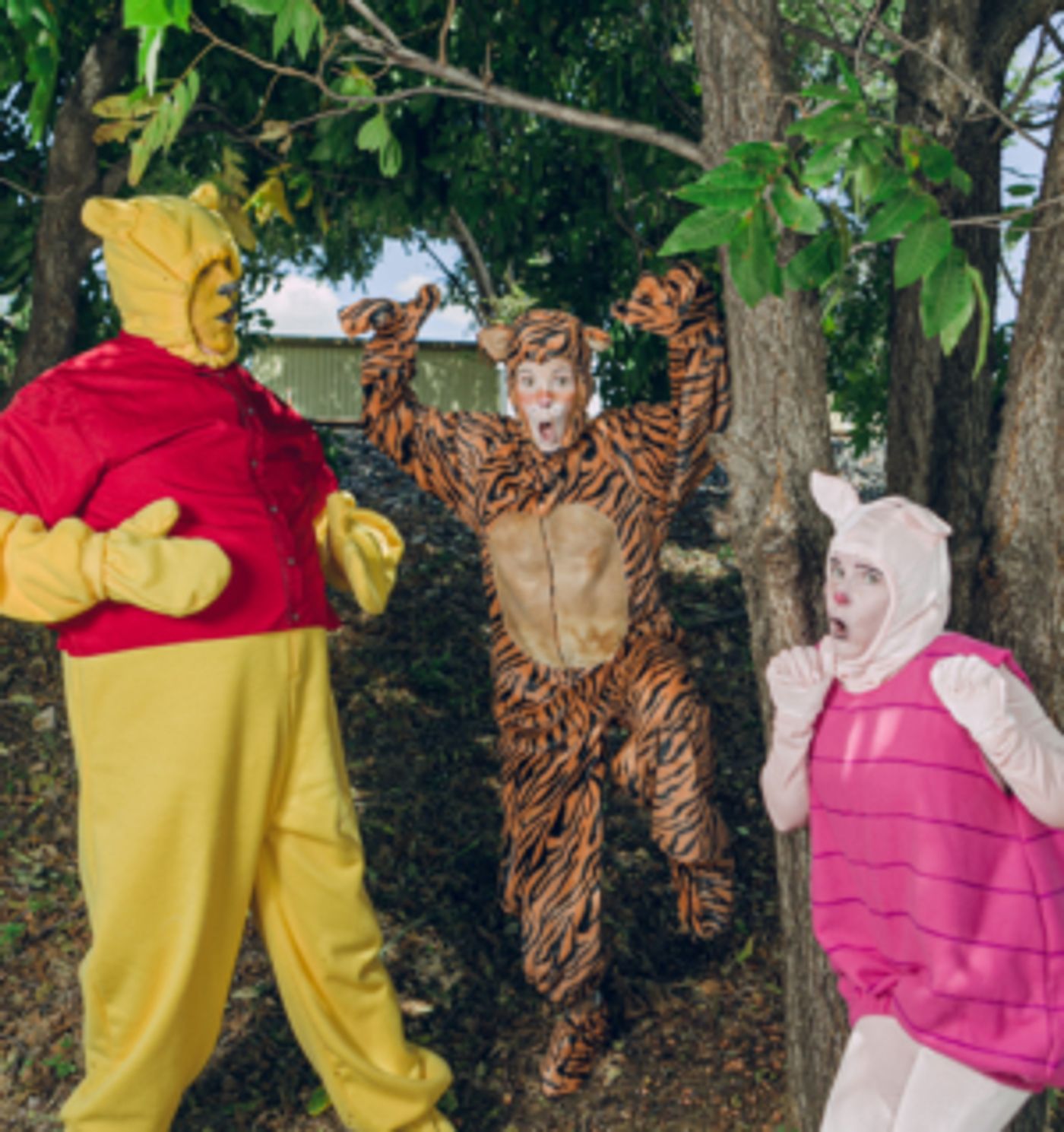 WINNIE THE POOH Comes To Theatre Arlington WINNIE THE POOH Comes To Theatre Arlington Image