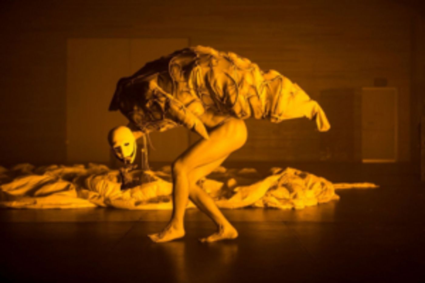Montréal Arts Interculturels Presents CARRION Never Quite Human, Only Ever Frankenstein  Image