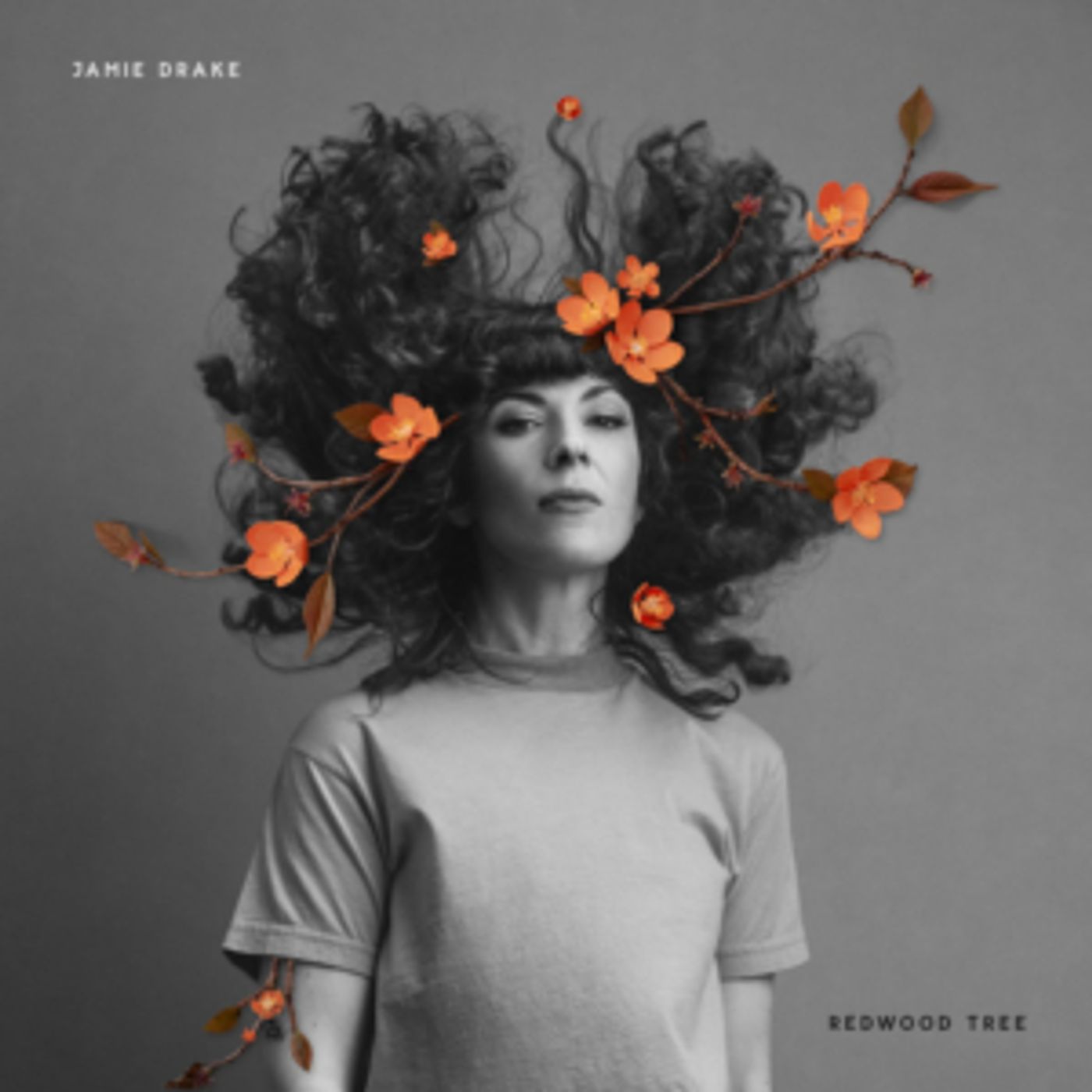 Jamie Drake Shares 'Redwood Tree' Video With The Talkhouse Jamie Drake Shares 'Redwood Tree' Video With The Talkhouse Image