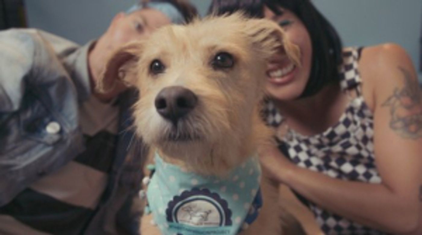 Matt and Kim Drop Surprise New Single 'Money'  Image