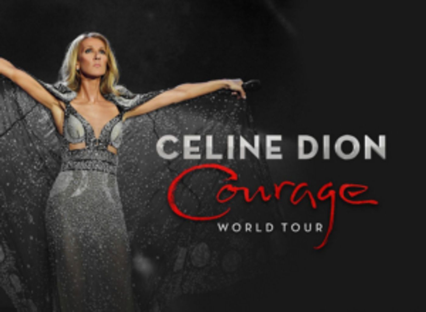Celine Dion Announces New Tour Dates for 2020 Celine Dion Announces New Tour Dates for 2020 Image