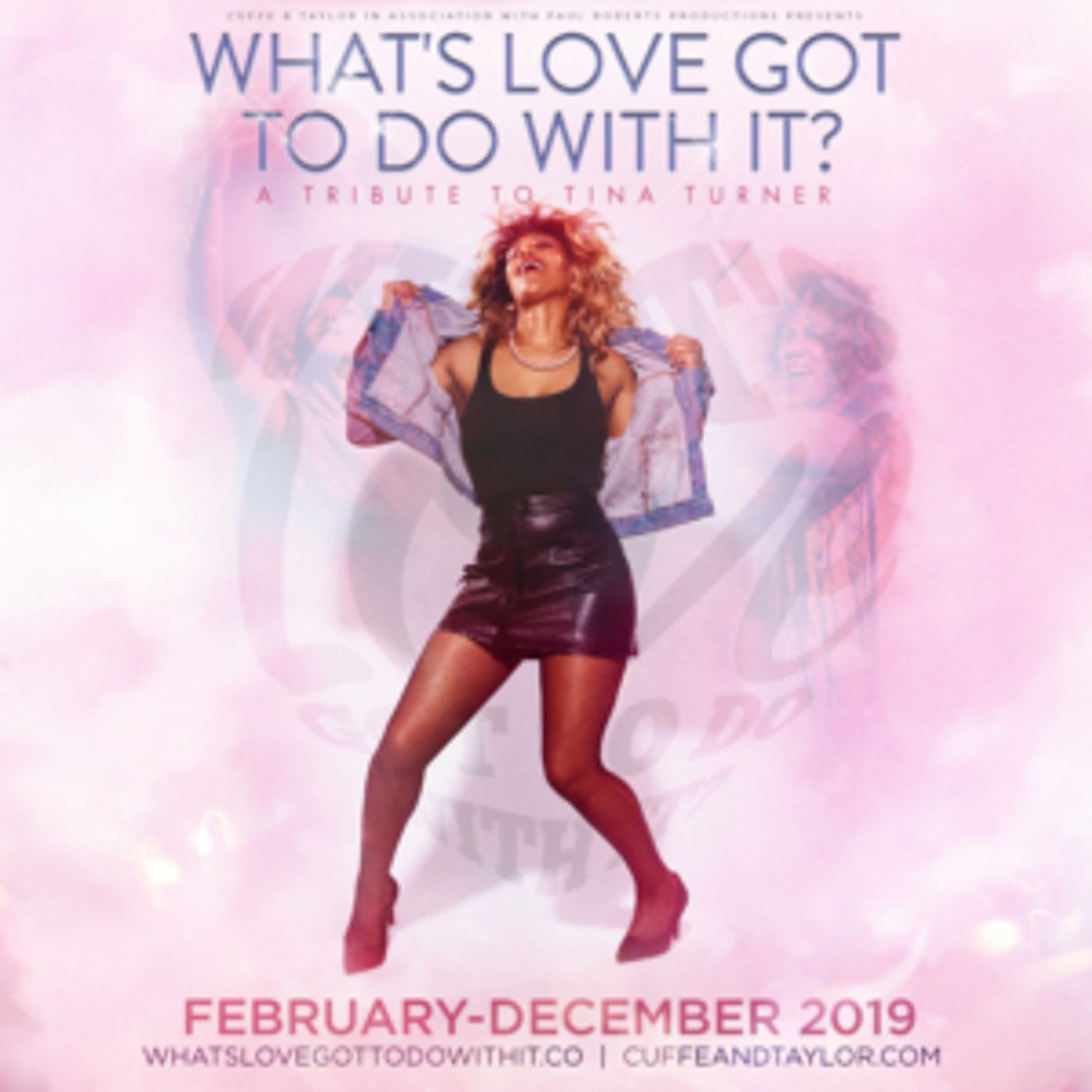 Celebration Of Tina Turner Comes to Worthing  Image