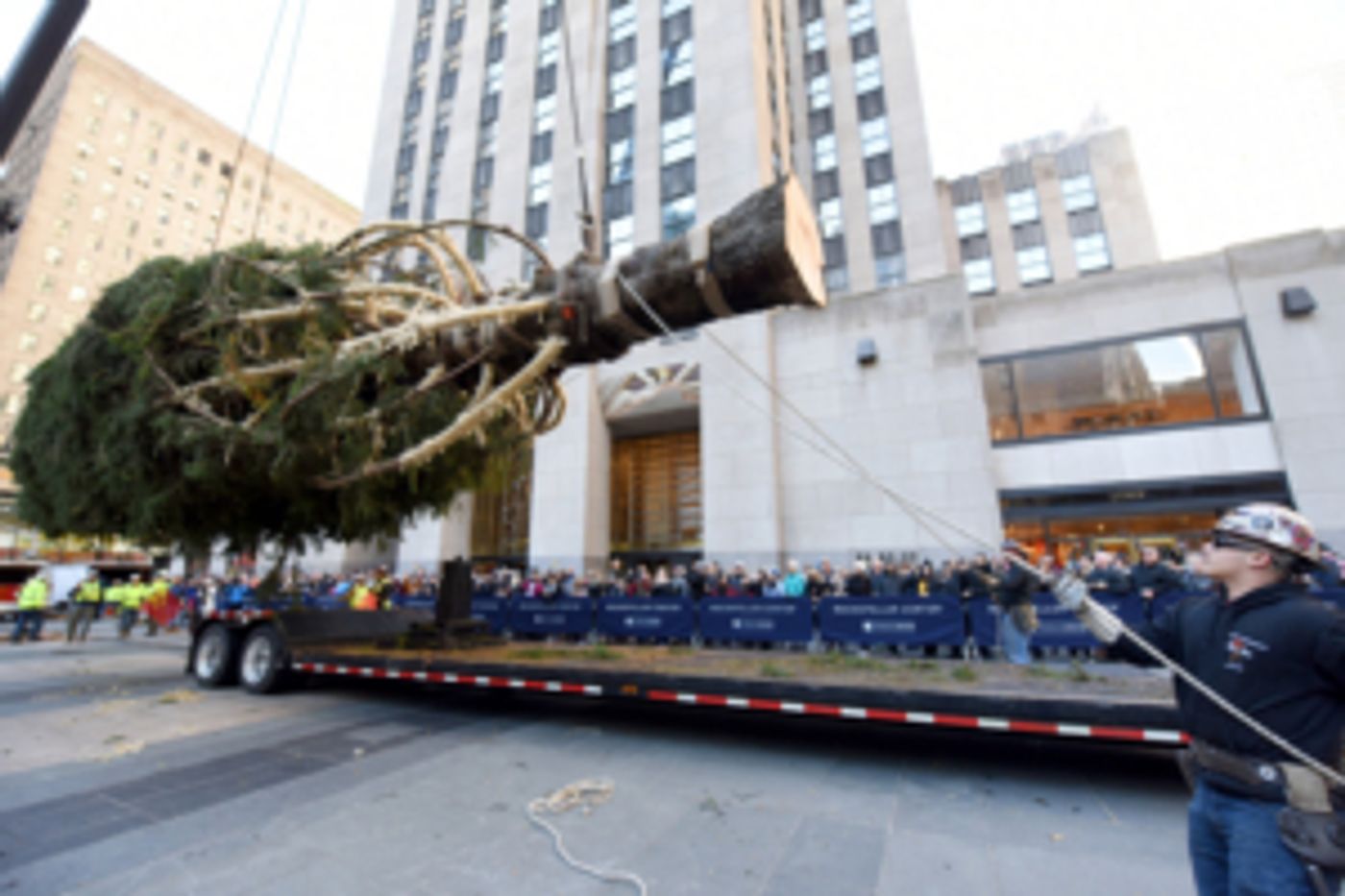 Family Activities Accompany the Arrival of the 2019 Rockefeller Center Christmas Tree Family Activities Accompany the Arrival of the 2019 Rockefeller Center Christmas Tree Image