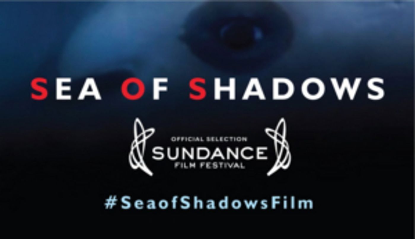 SEA OF SHADOWS Premieres on National Geographic Nov. 9 SEA OF SHADOWS Premieres on National Geographic Nov. 9 Image