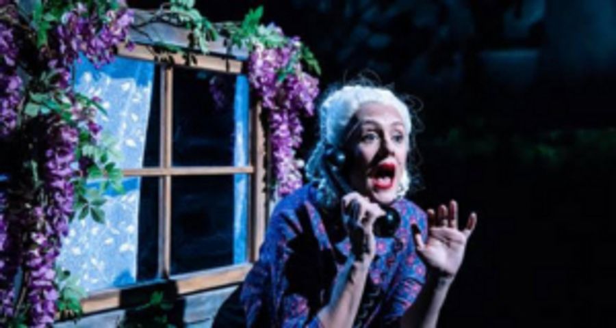Bryony Kimmings Brings Critically Acclaimed Show I'M A PHOENIX, BITCH To HOME Manchester Image