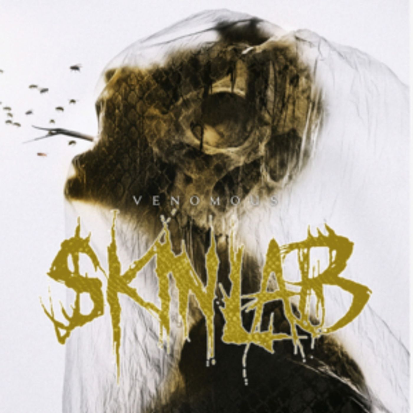 SKINLAB to Release New Album VENOMOUS SKINLAB to Release New Album VENOMOUS Image
