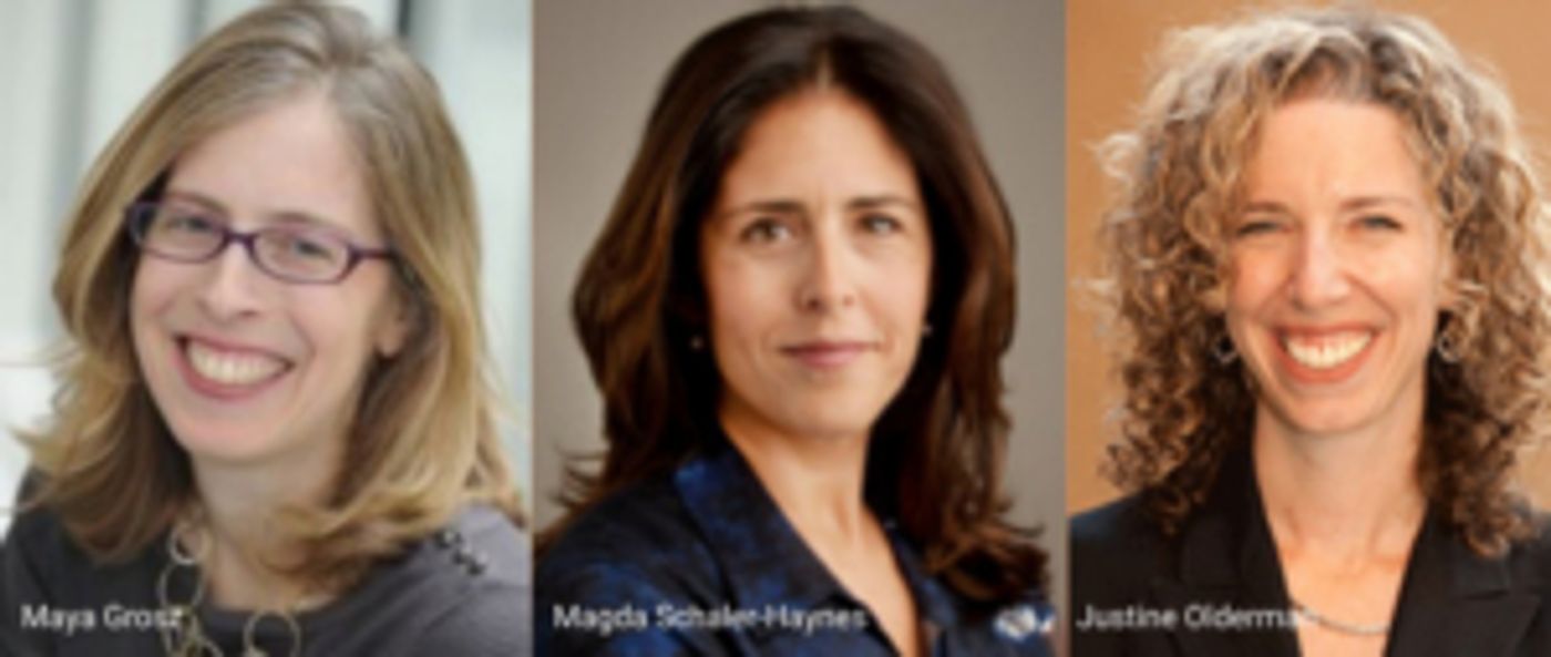 Luna Stage to Host Post-Show Discussion Following MRS. STERN WANDERS THE PRUSSIAN STATE LIBRARY Luna Stage to Host Post-Show Discussion Following MRS. STERN WANDERS THE PRUSSIAN STATE LIBRARY Image