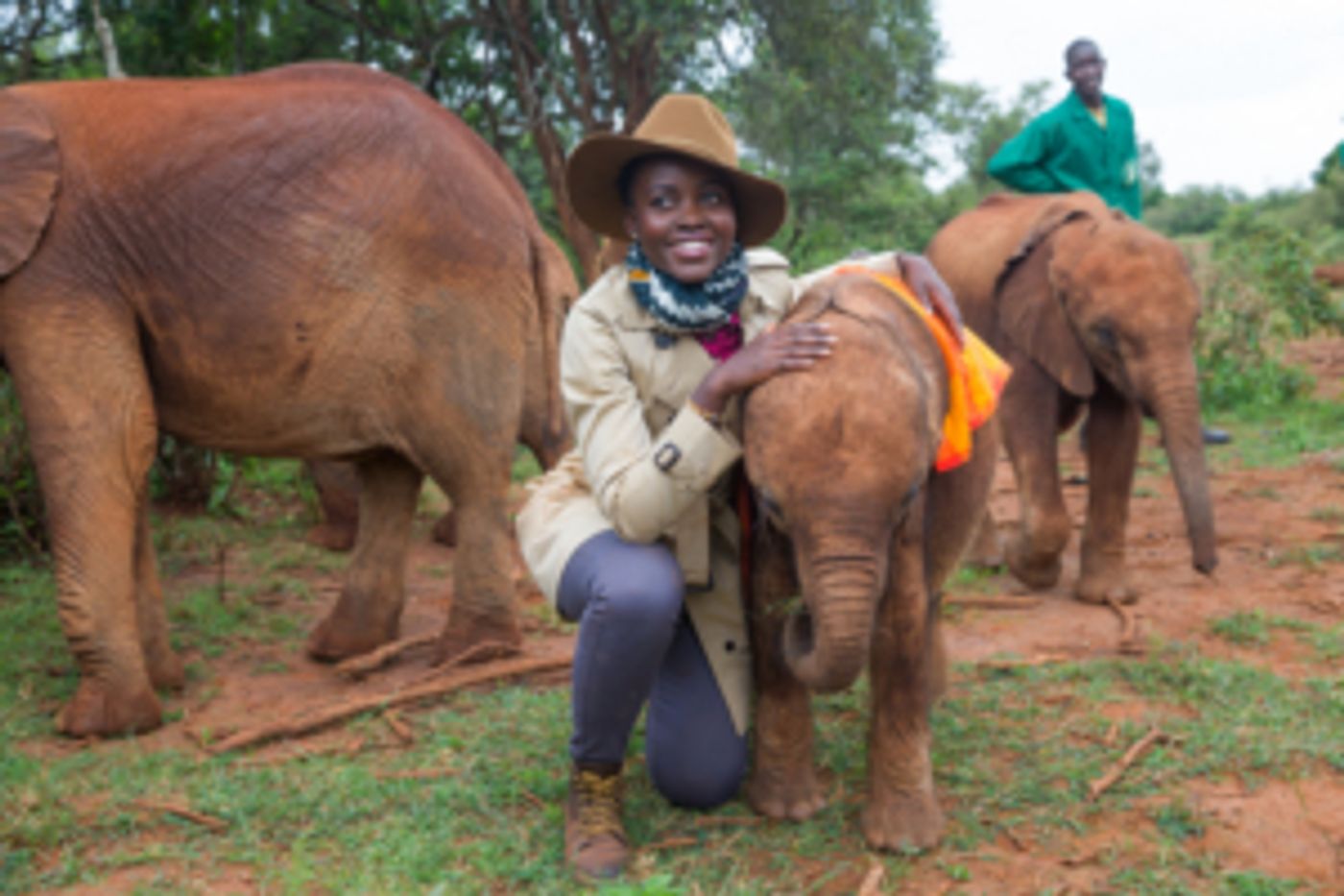 Lupita Nyong'o to Receive Wildlife Protection Award at WildAid Gala  Image