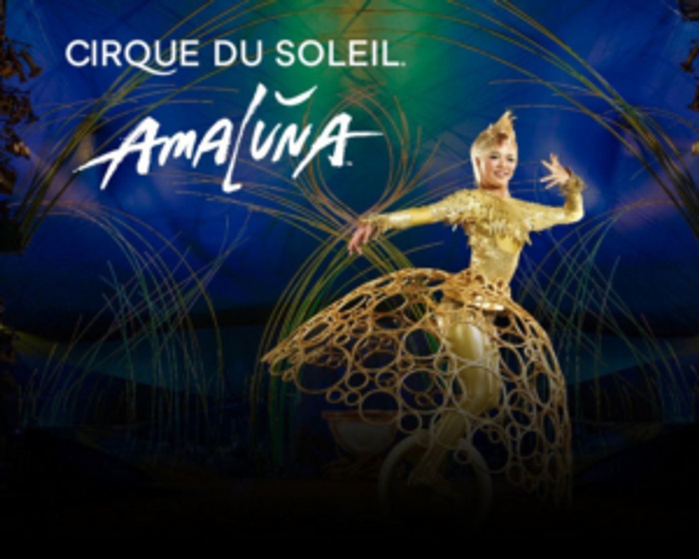 AMALUNA Heads to San Francisco, Extends Run in Sacramento AMALUNA Heads to San Francisco, Extends Run in Sacramento Image