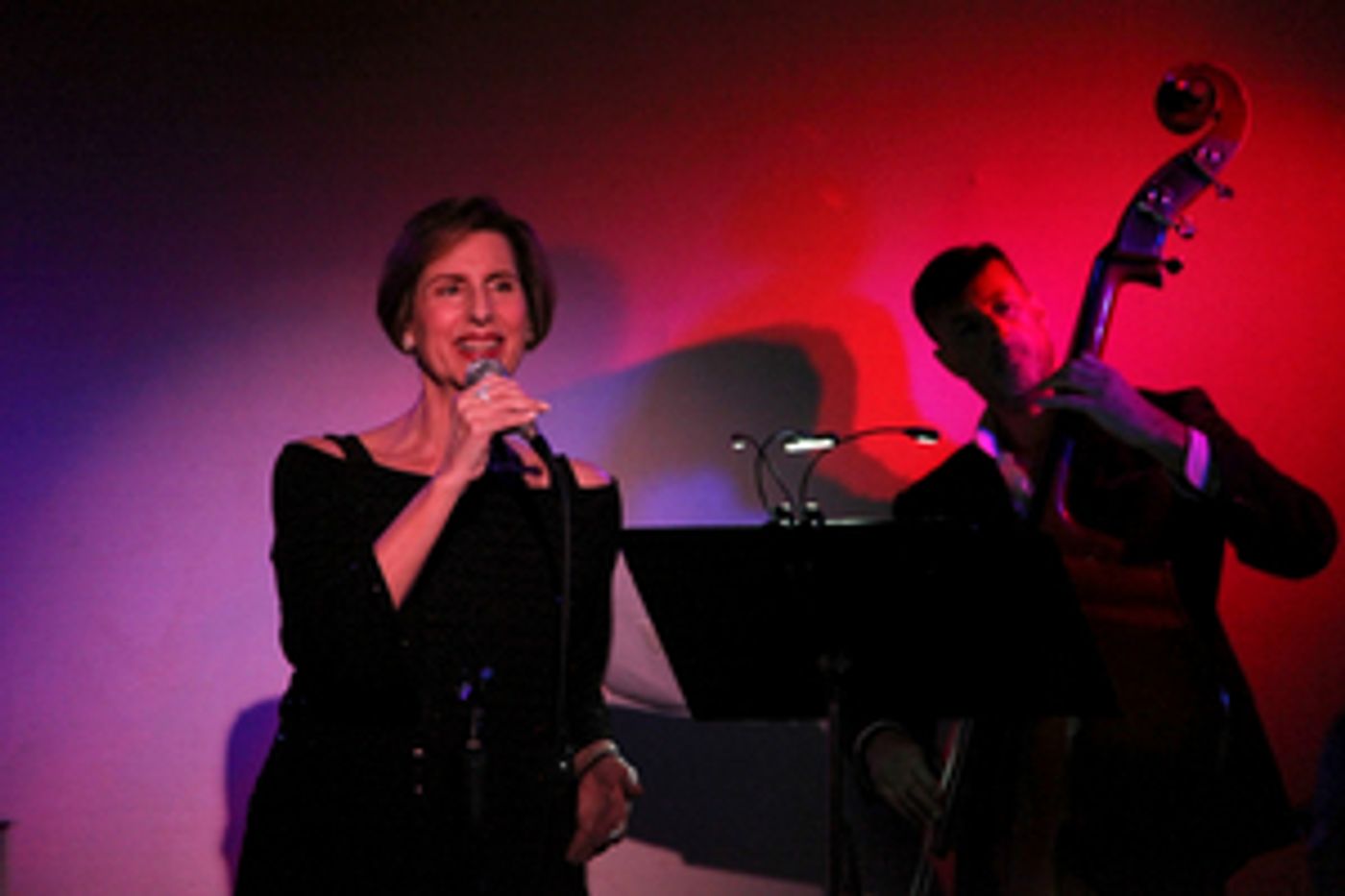 Review: Lucille Carr-Kaffashan Shows The Guys Some Love in HOW THE LIGHT GETS IN at Don't Tell Mama  Image