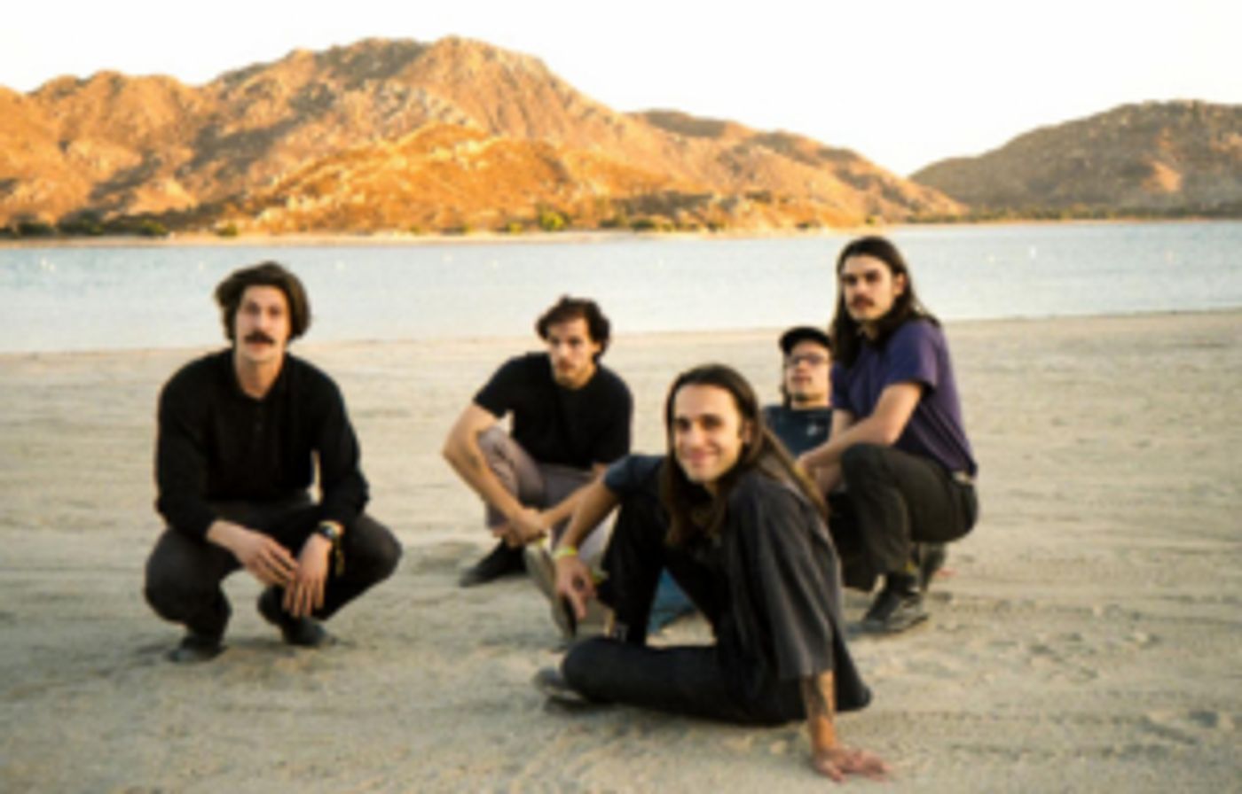 Post Animal Share Single 'Safe or Not'  Image