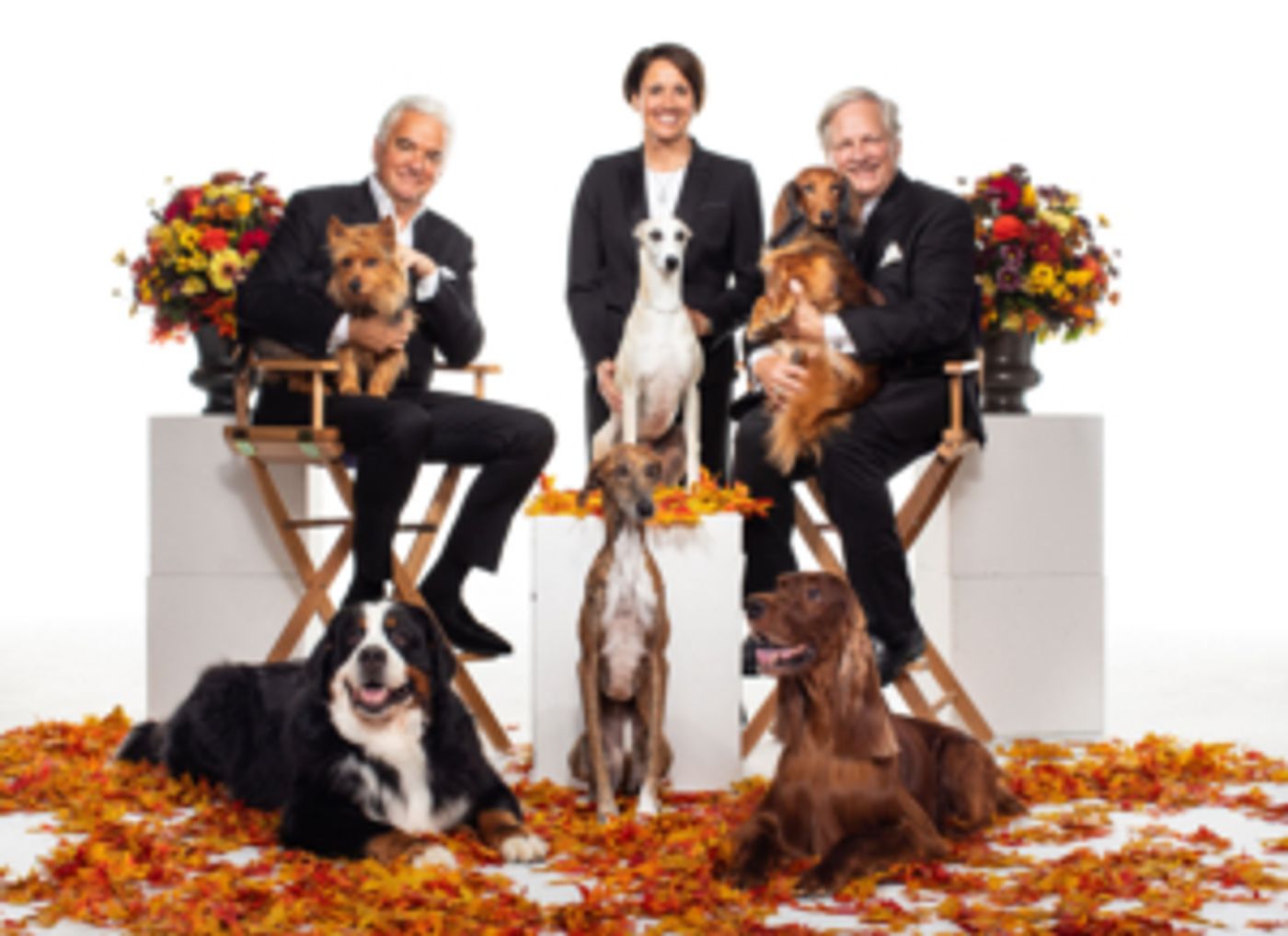 NBC to Broadcast the NATIONAL DOG SHOW on Thanksgiving  Image