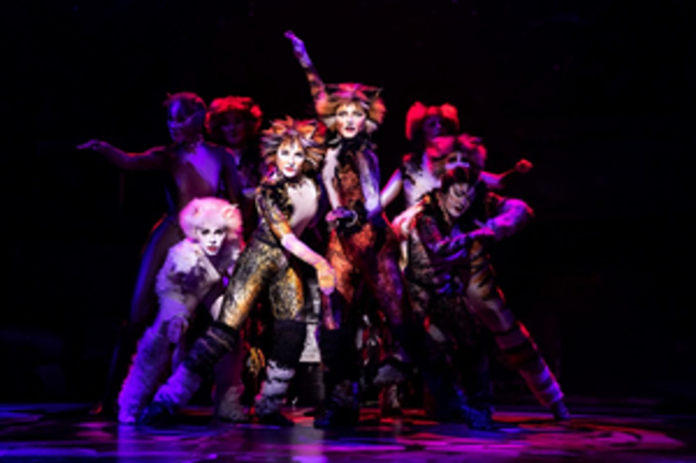 Review: CATS at Majestic Theatre Review: CATS at Majestic Theatre Image