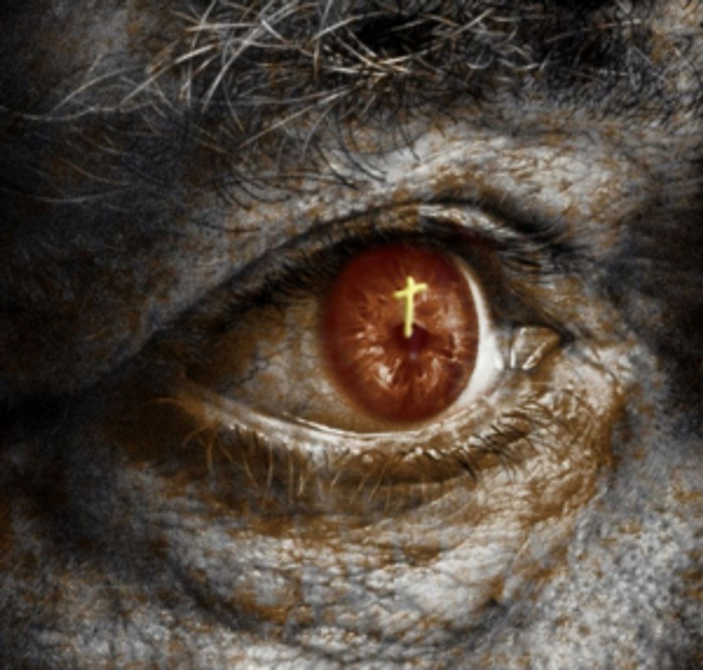 Casting Announced For THE WIND OF HEAVEN at Finborough Theatre  Image