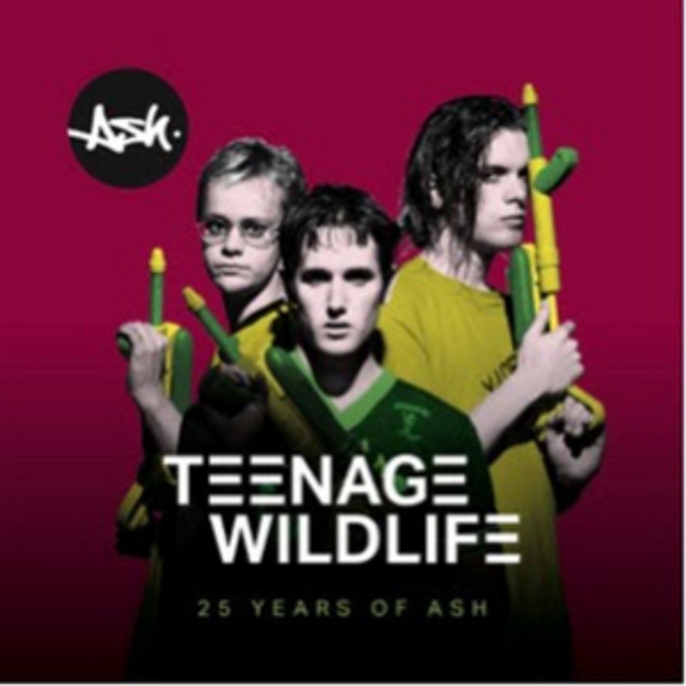 ASH to Release 'Teenage Wildlife: 25 Years Of Ash' in February  Image