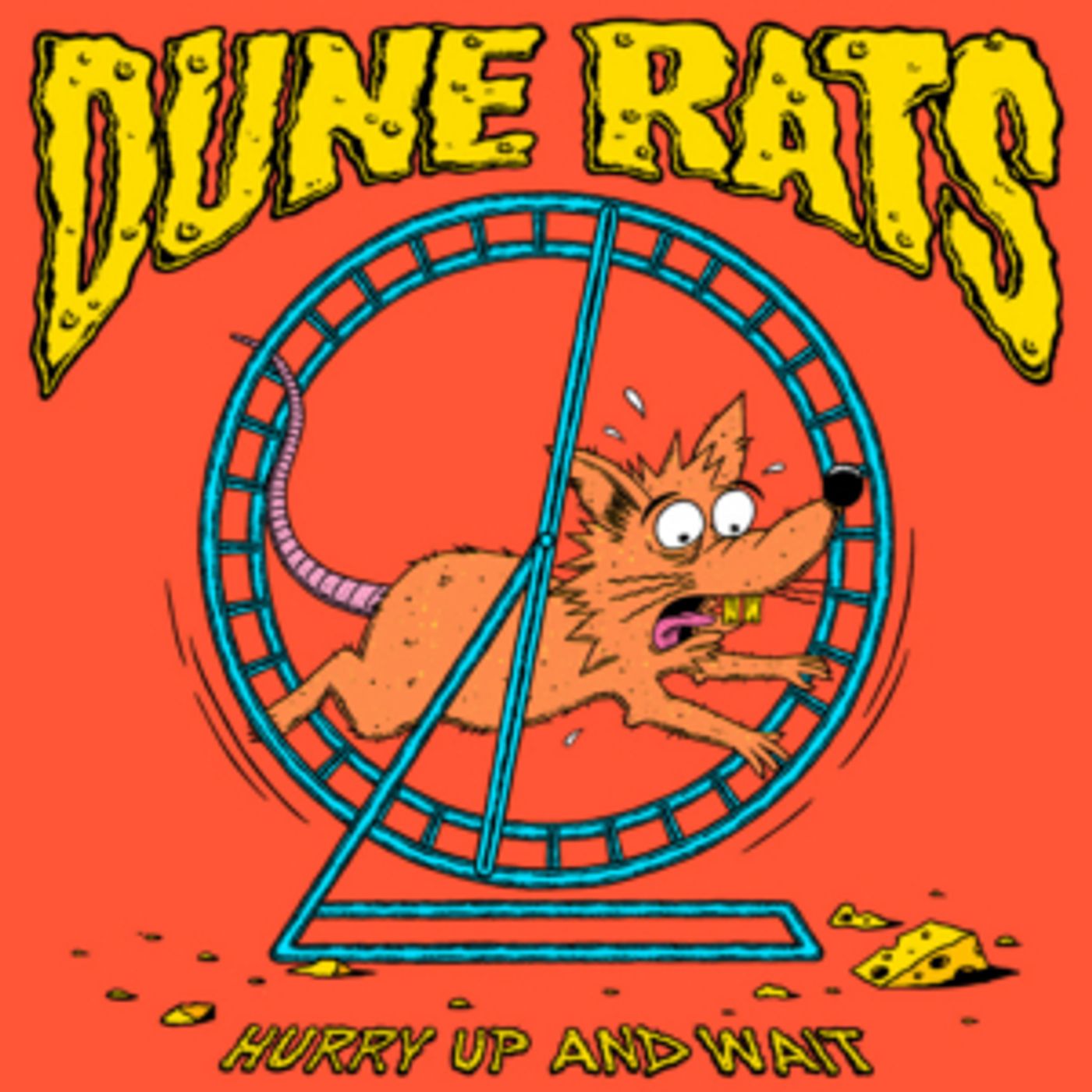 Dune Rats Announce Third Full-Length LP 'Hurry Up And Wait'  Image