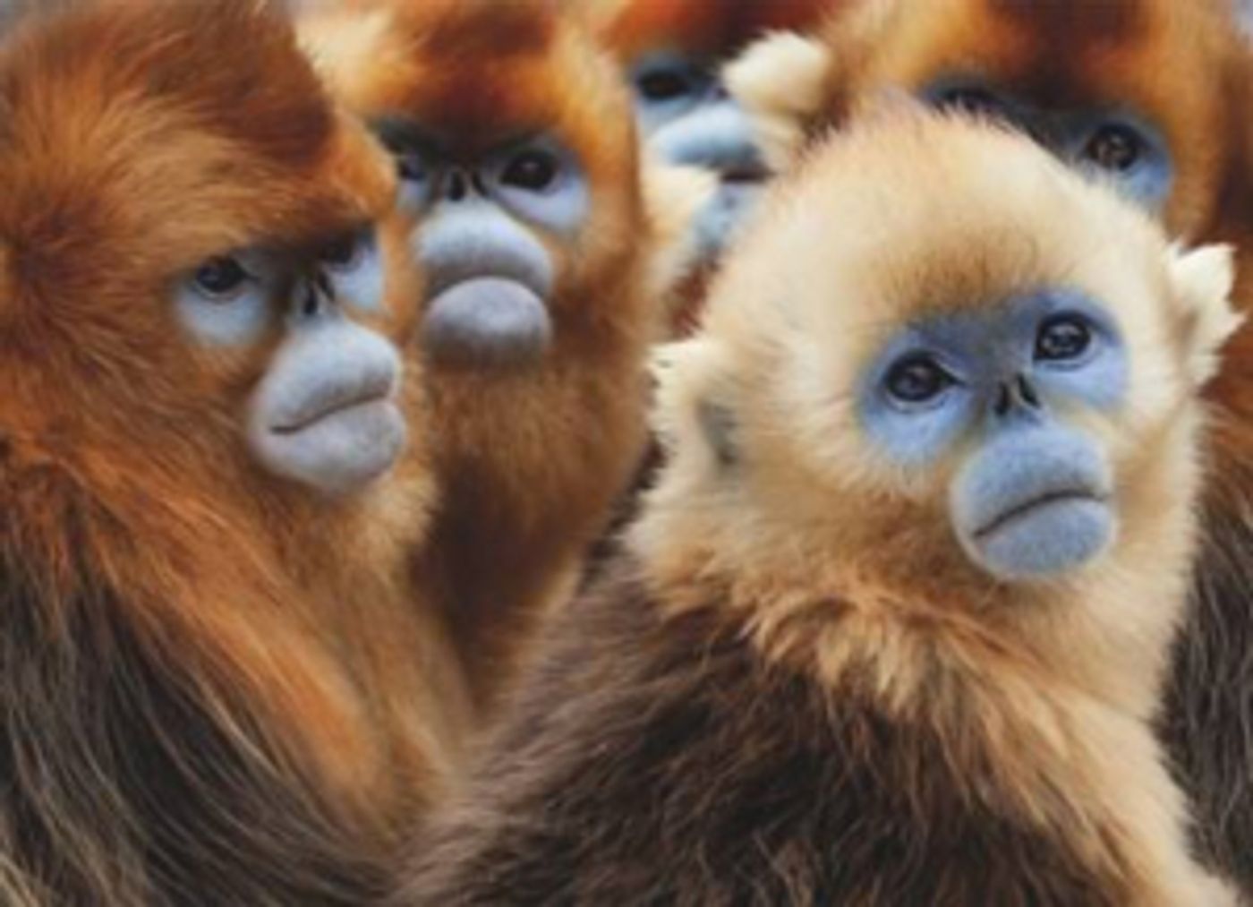 SEVEN WORLDS, ONE PLANET to Premiere on AMC Networks This January SEVEN WORLDS, ONE PLANET to Premiere on AMC Networks This January Image