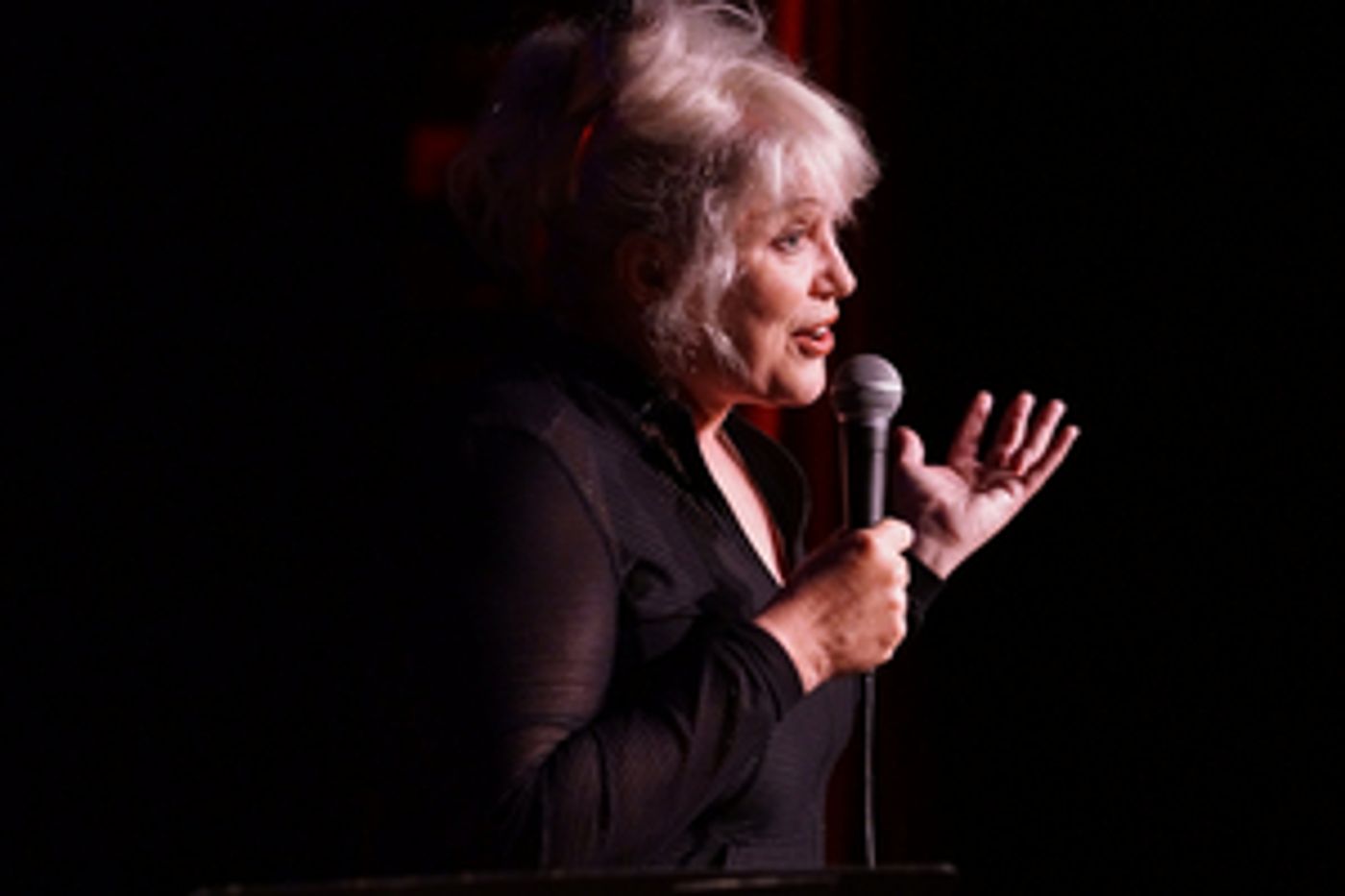 Review: JULIA SWEENEY'S OLDER & WIDER, The SNL Alum Bares Her Comedy Chops and Shows They Are as Sharp as Ever  Image