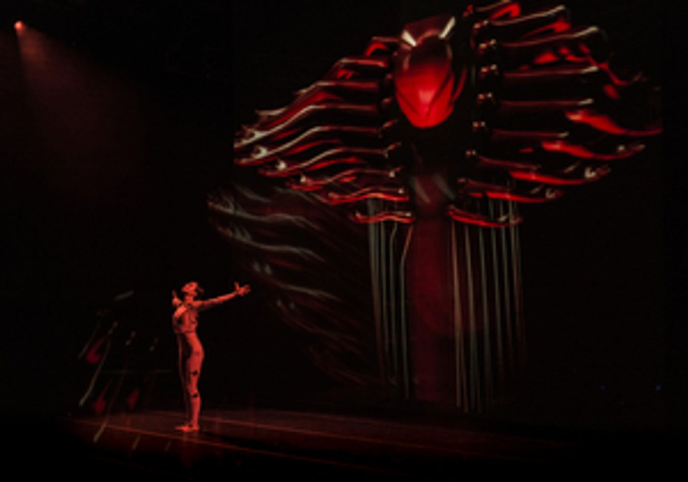 Review: SLEEPING BEAUTY DREAMS KICKS OFF ITS TOUR IN NYC at Manhattan Center  Image