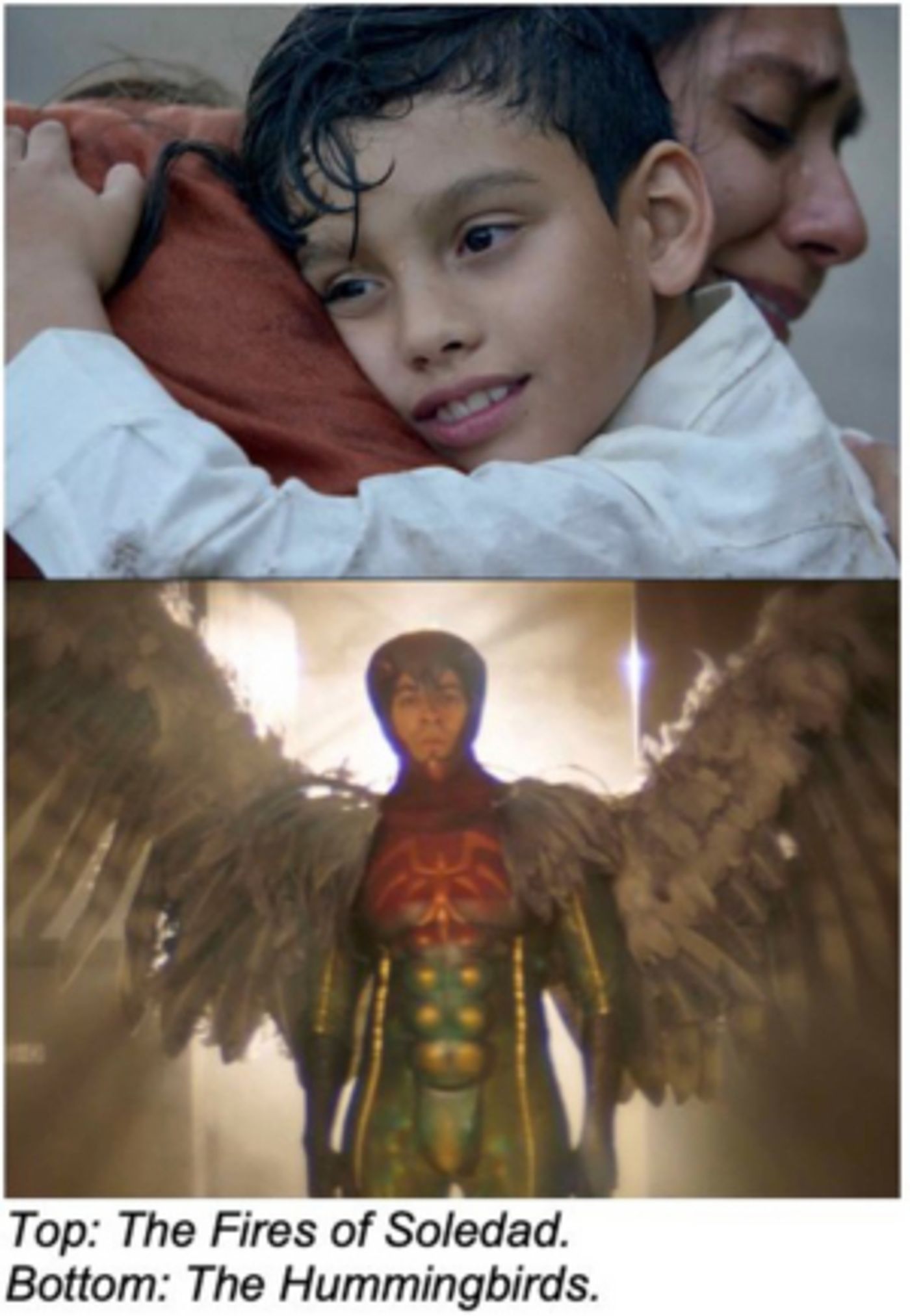 Latino Public Broadcasting Premieres Two New Digital Shorts on PBS.org Nov. 18 Latino Public Broadcasting Premieres Two New Digital Shorts on PBS.org Nov. 18 Image