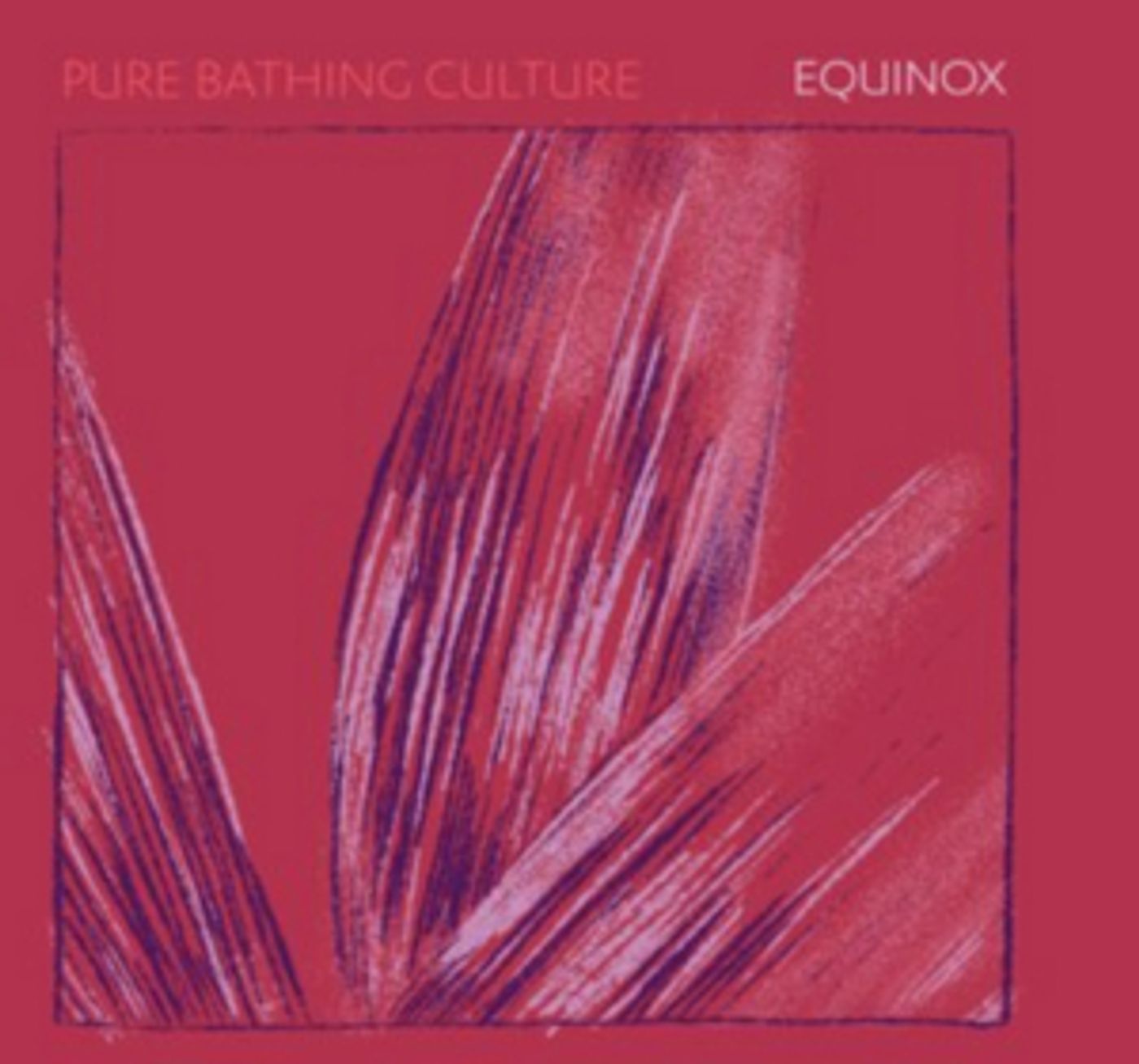 Pure Bathing Culture Announce New Acoustic EP 'Equinox'  Image