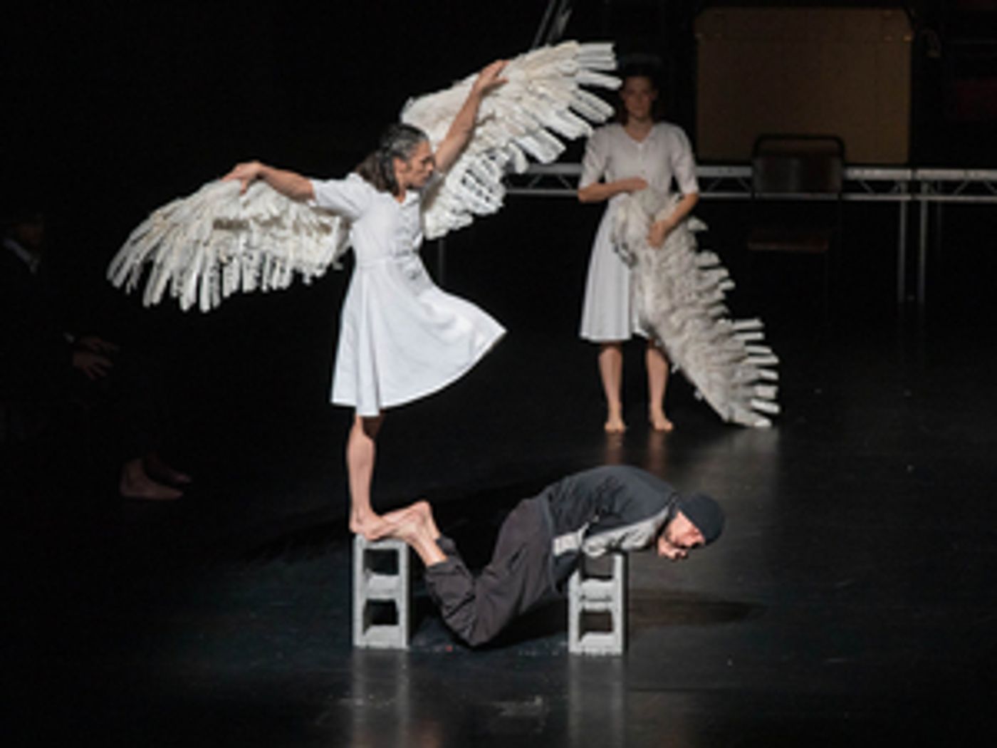 Review: Michael Keegan-Dolan/Teaċ Daṁsa's Loch na hEala (Swan Lake) Ultimately Proves Childhood Joy is Universal  Image