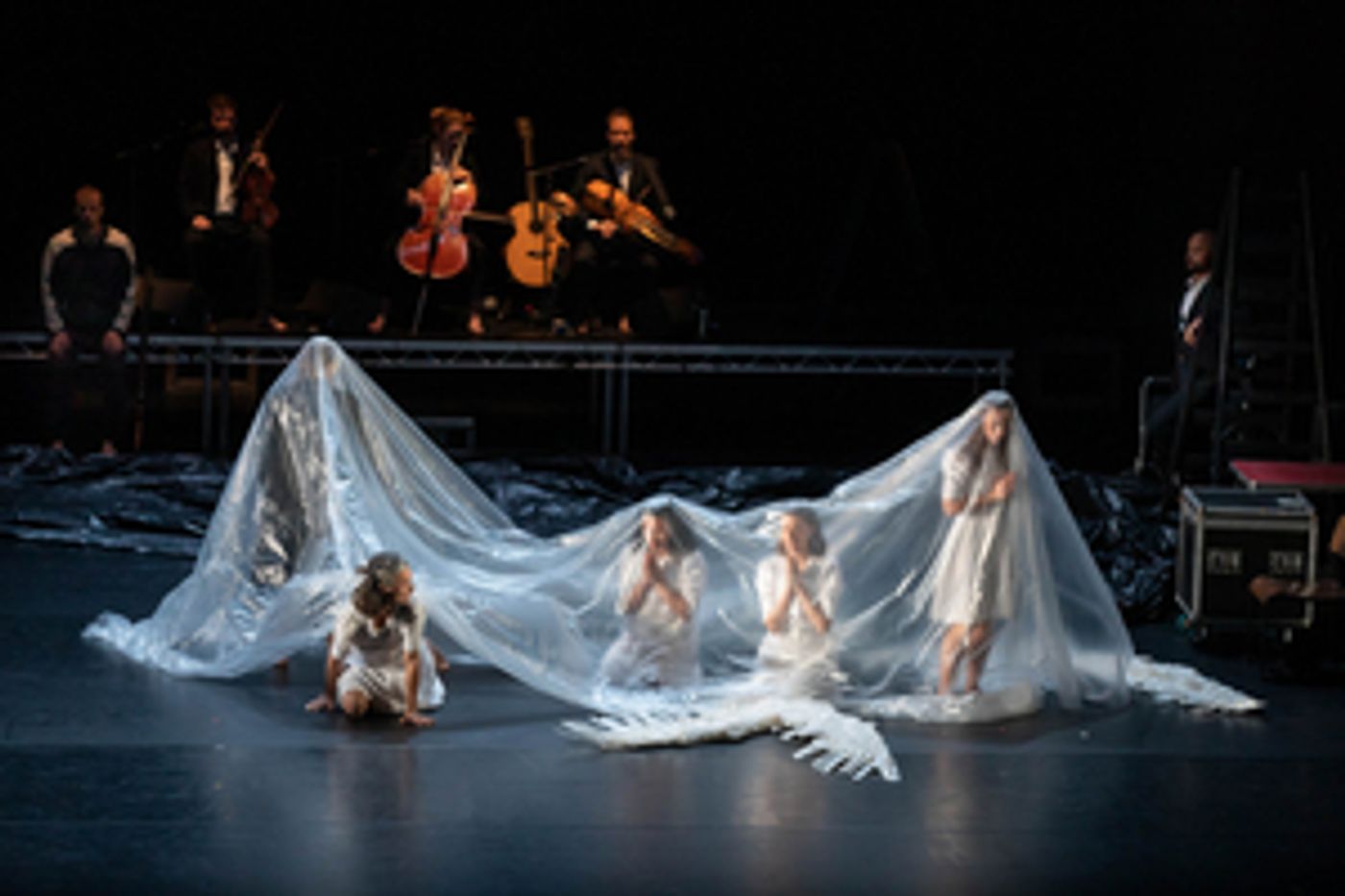 Review: Michael Keegan-Dolan/Teaċ Daṁsa's Loch na hEala (Swan Lake) Ultimately Proves Childhood Joy is Universal  Image