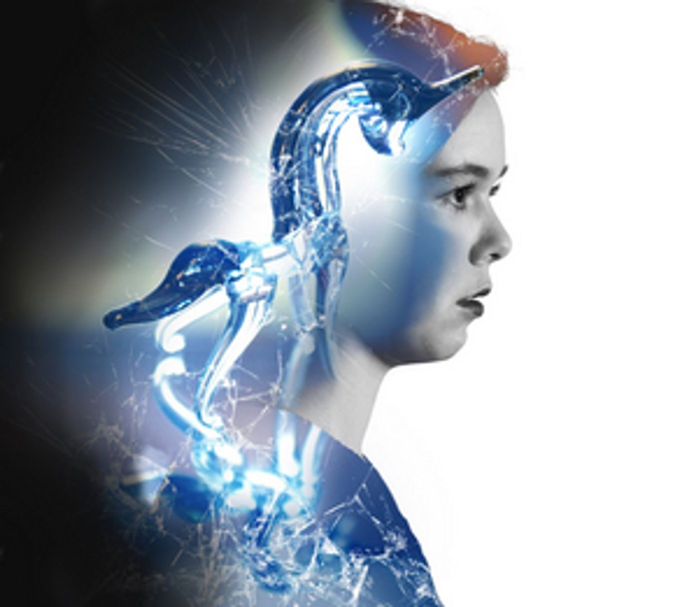 Review: THE GLASS MENAGERIE at Nebraska Repertory Theatre is Classic and Memorable  Image