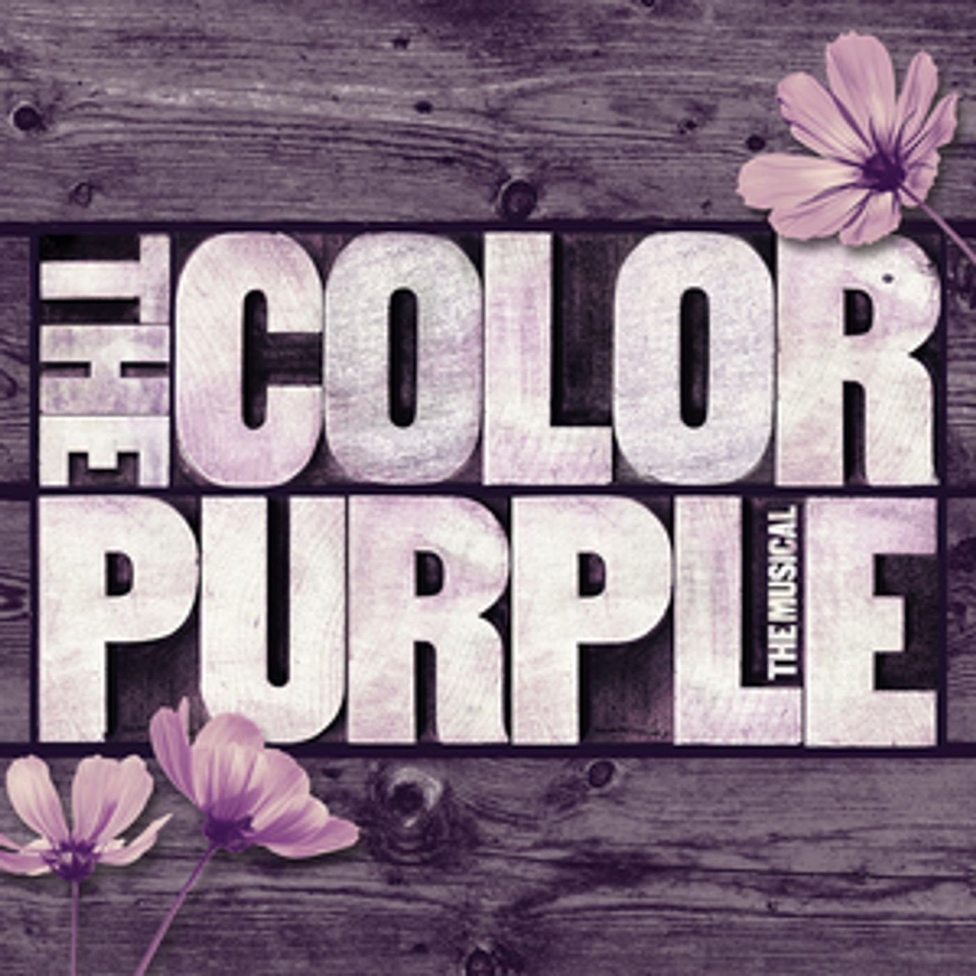 Review: THE COLOR PURPLE in Jackson - Too Beautiful for Words Review: THE COLOR PURPLE in Jackson - Too Beautiful for Words Image