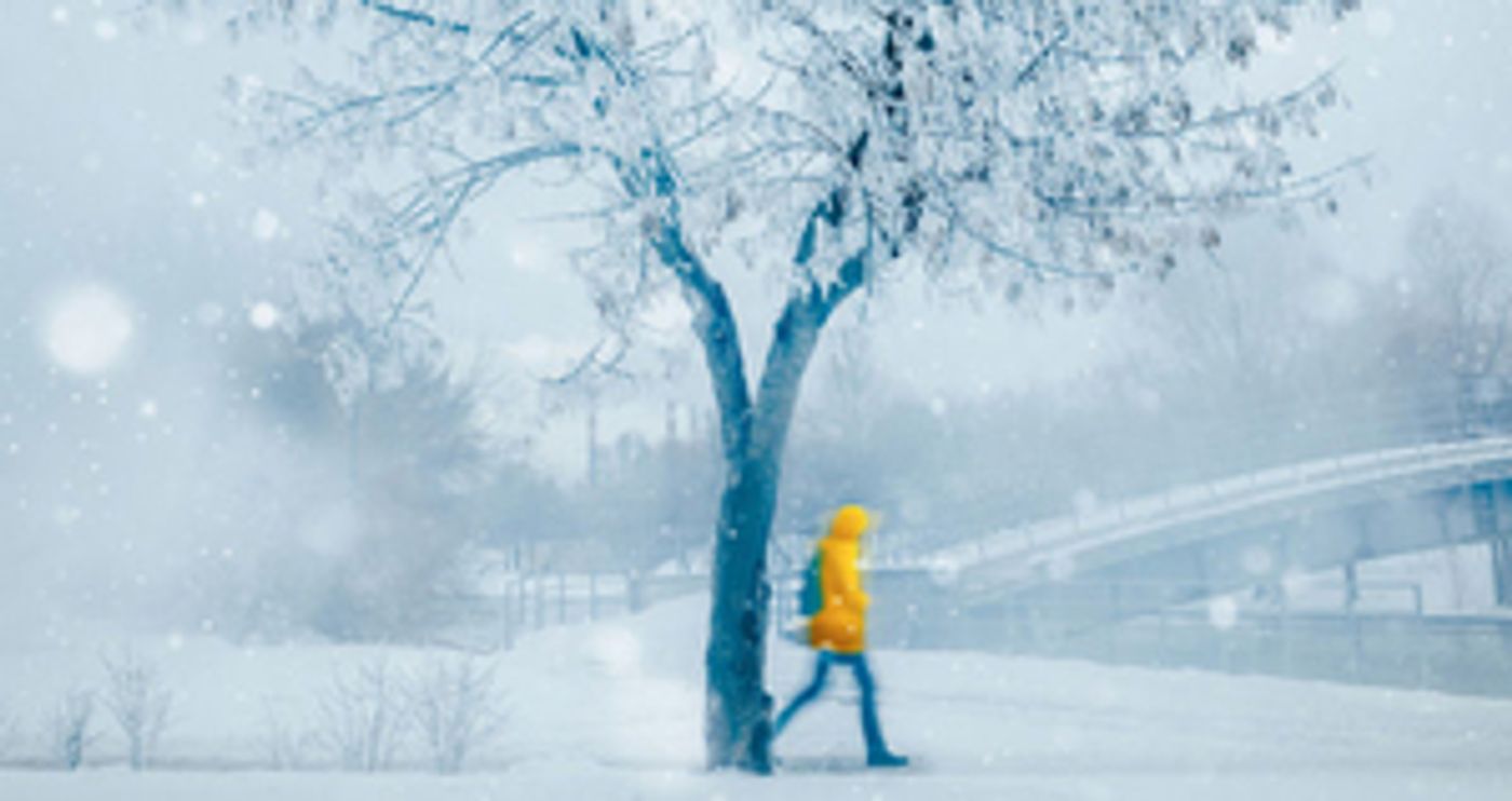 BWW Blog: When You Have The Winter Blues  Image