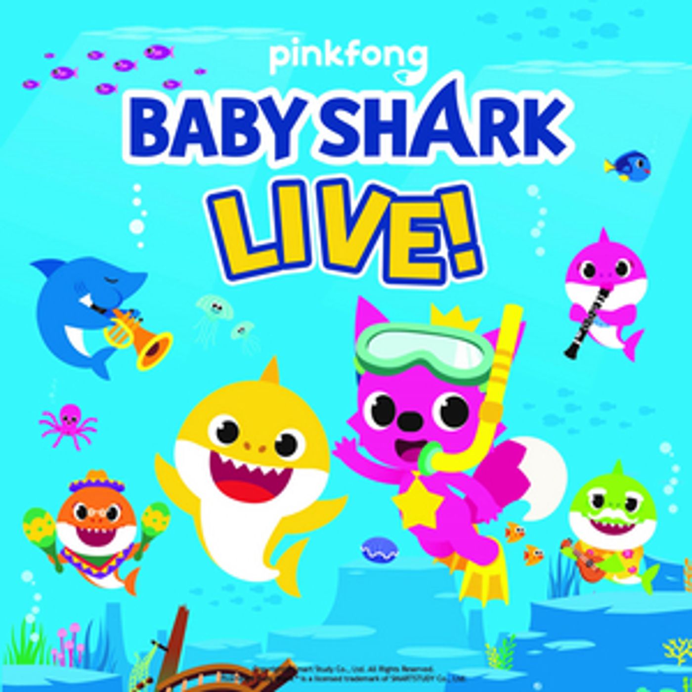 BABY SHARK LIVE! is Coming to the Oncenter Crouse Hinds Theater BABY SHARK LIVE! is Coming to the Oncenter Crouse Hinds Theater Image