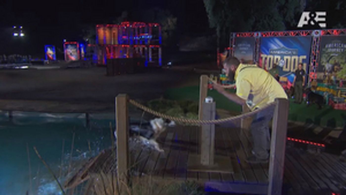 AMERICA'S TOP DOG Airs Jan. 8 AMERICA'S TOP DOG Airs Jan. 8 Image