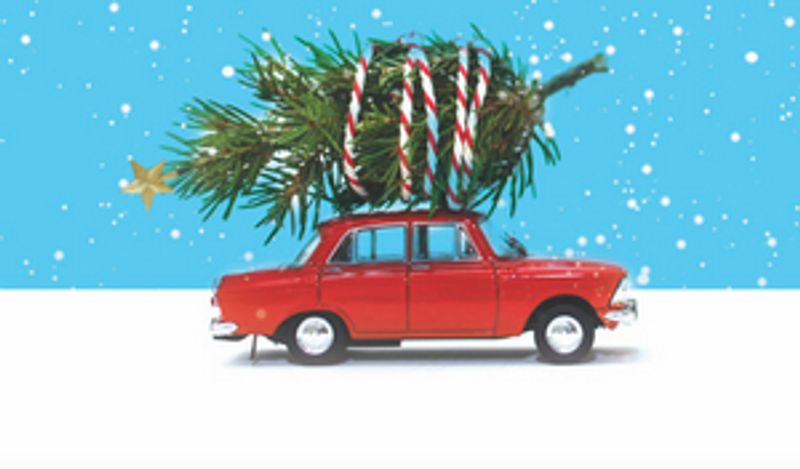 Review: THE LAST NOËL, Clapham Library Image