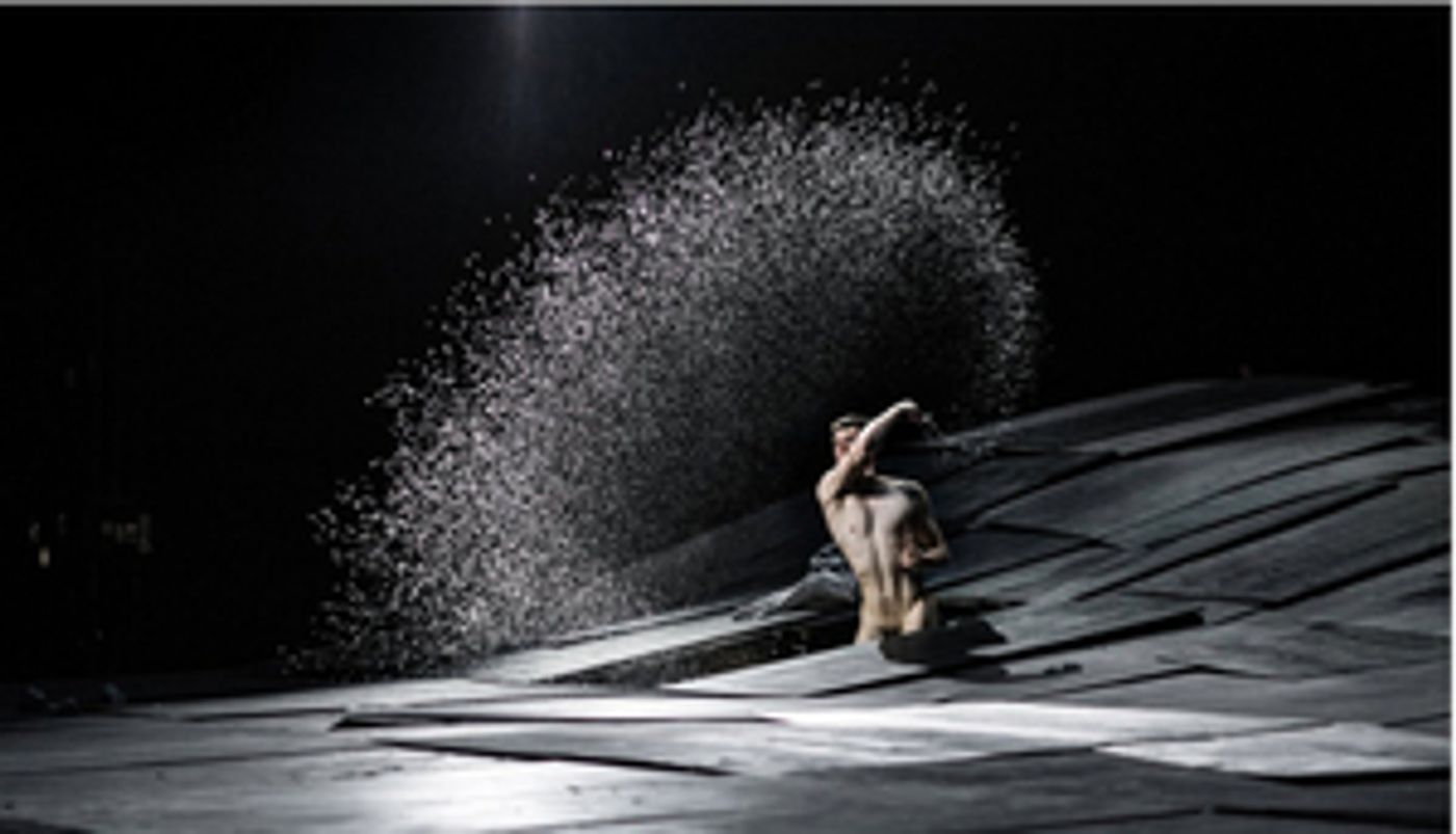 Review: THE GREAT TAMER at BAM  Image