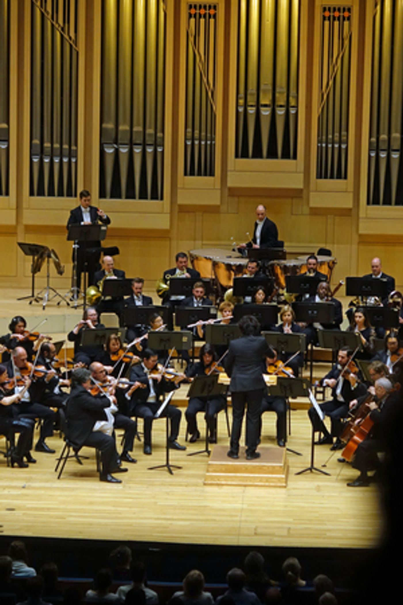 Review: DVOŘÁK'S NEW WORLD Picks Up Slack in Symphony Concert  Image