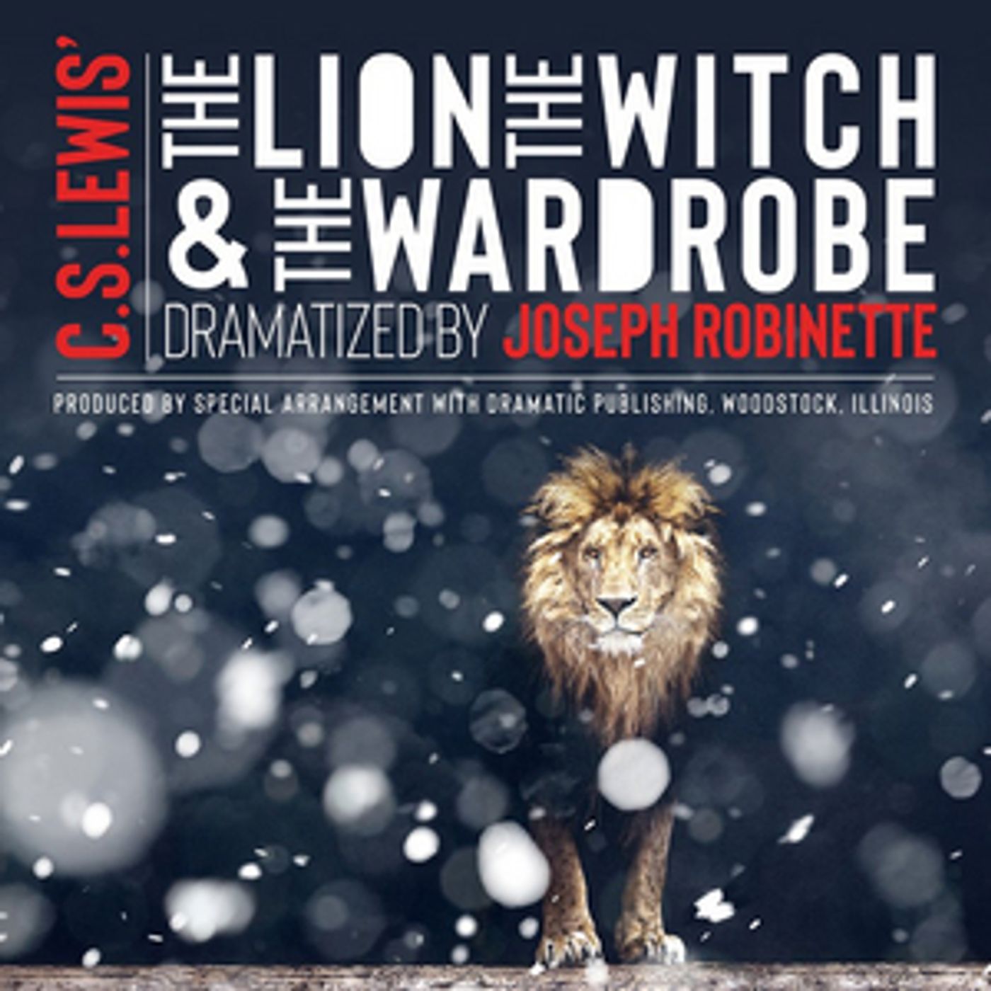 Review: Alberta Theatre Projects Brings THE LION, THE WITCH, AND THE WARDROBE to Life  Image