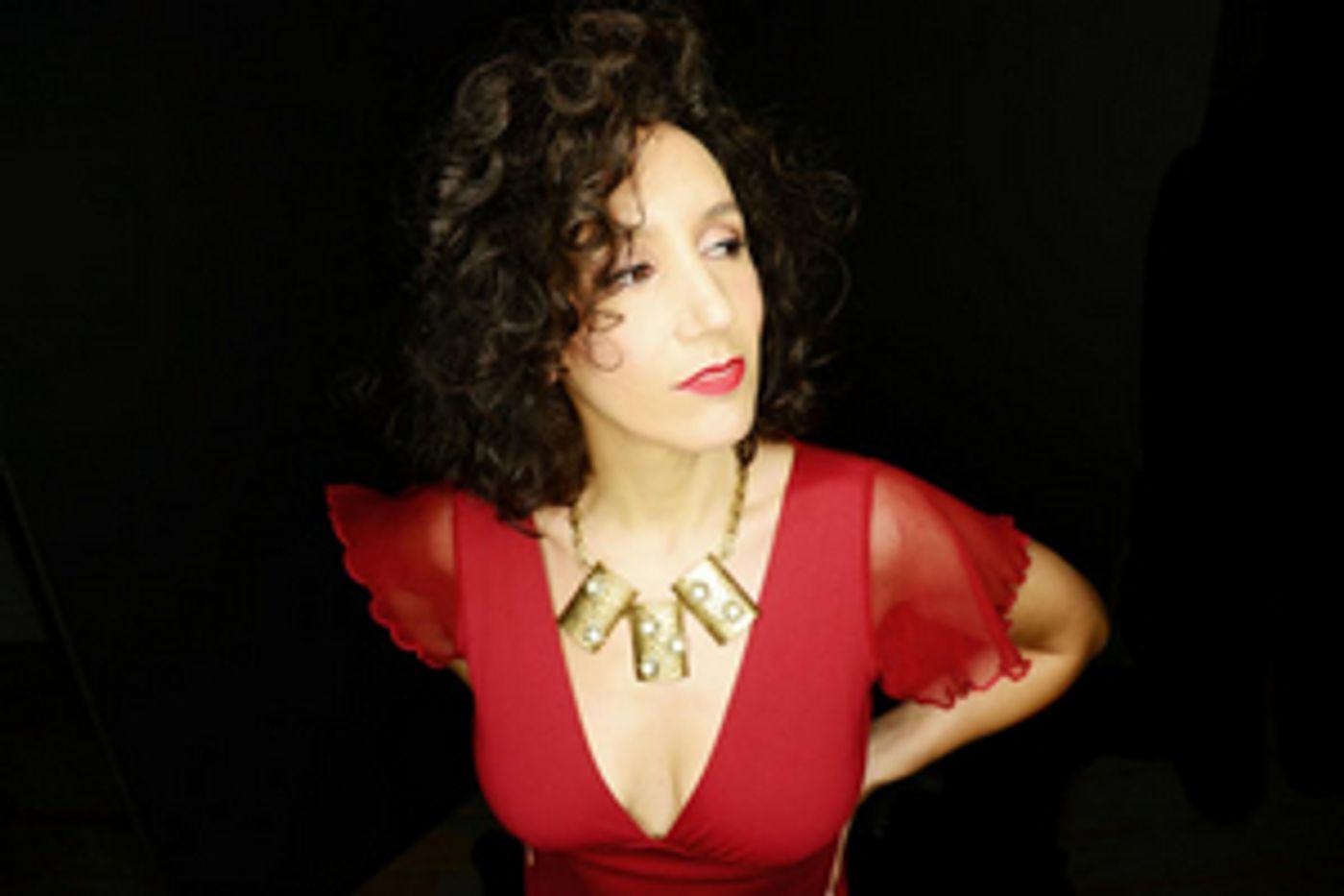 Gabrielle Stravelli Will Be Stepping In For Karen Mason at Birdland Theater  Image
